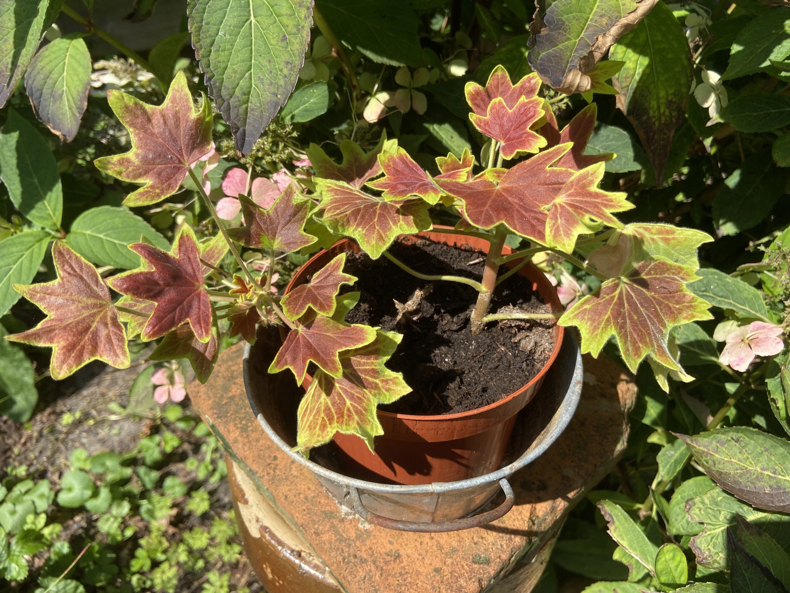 Rondje Tuin in  Oosterstreek