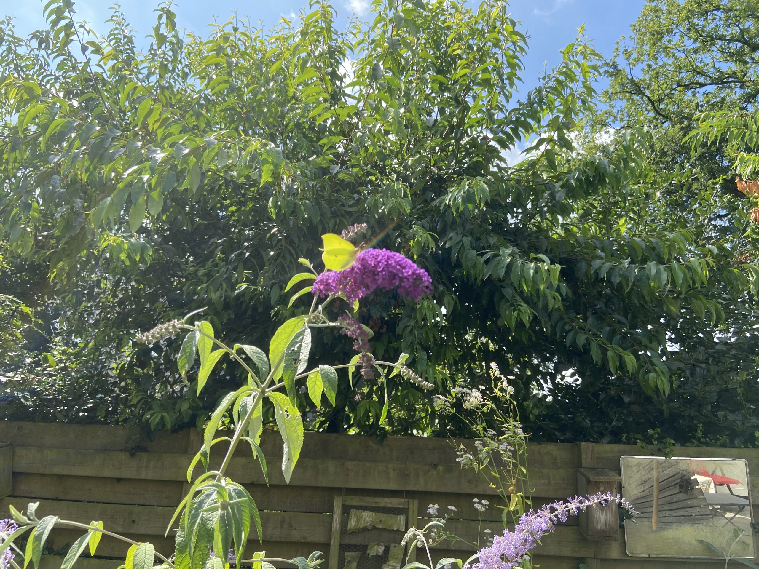 Rondje Tuin in  Oosterstreek