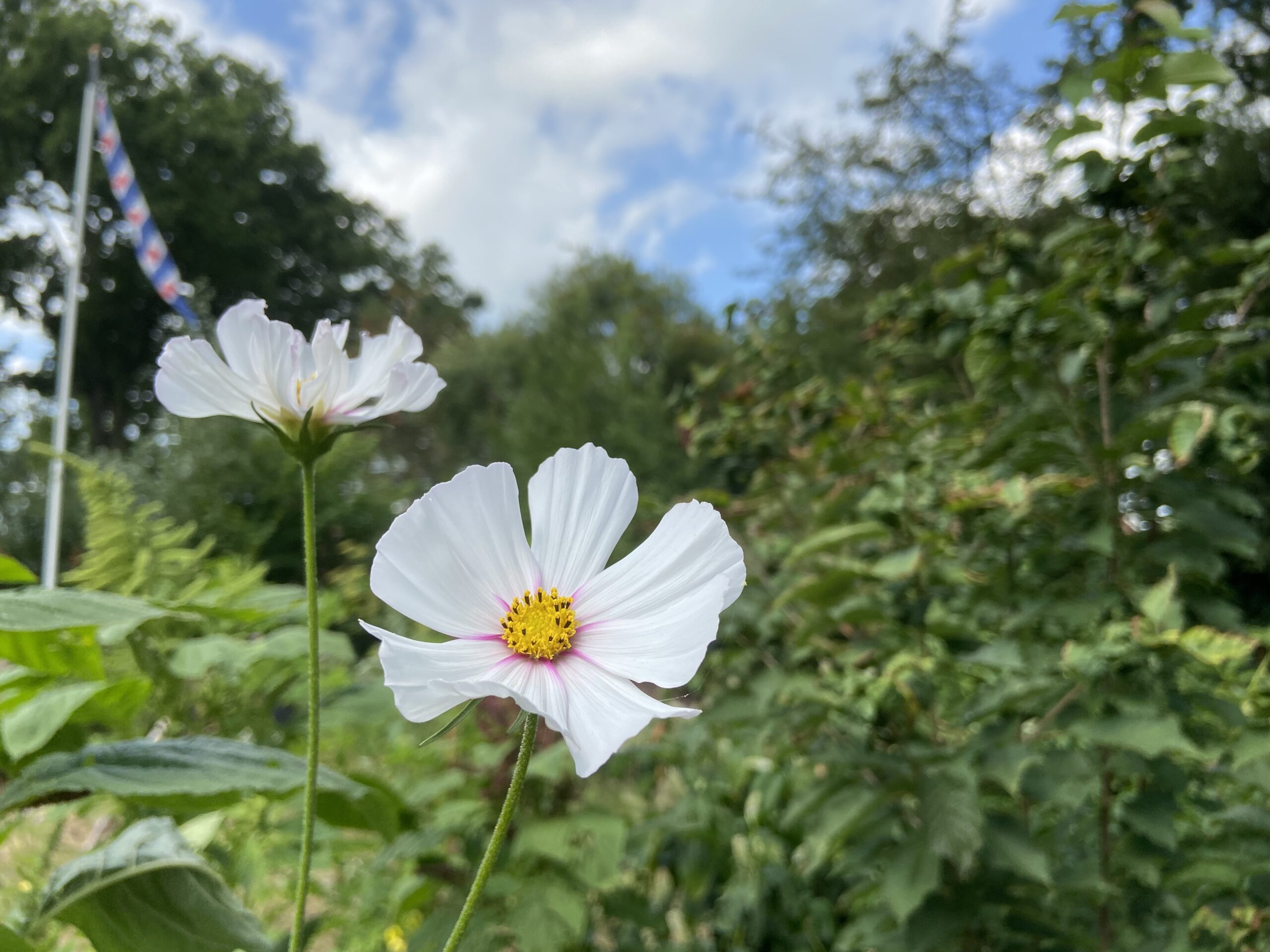 Rondje Tuin in  Oosterstreek