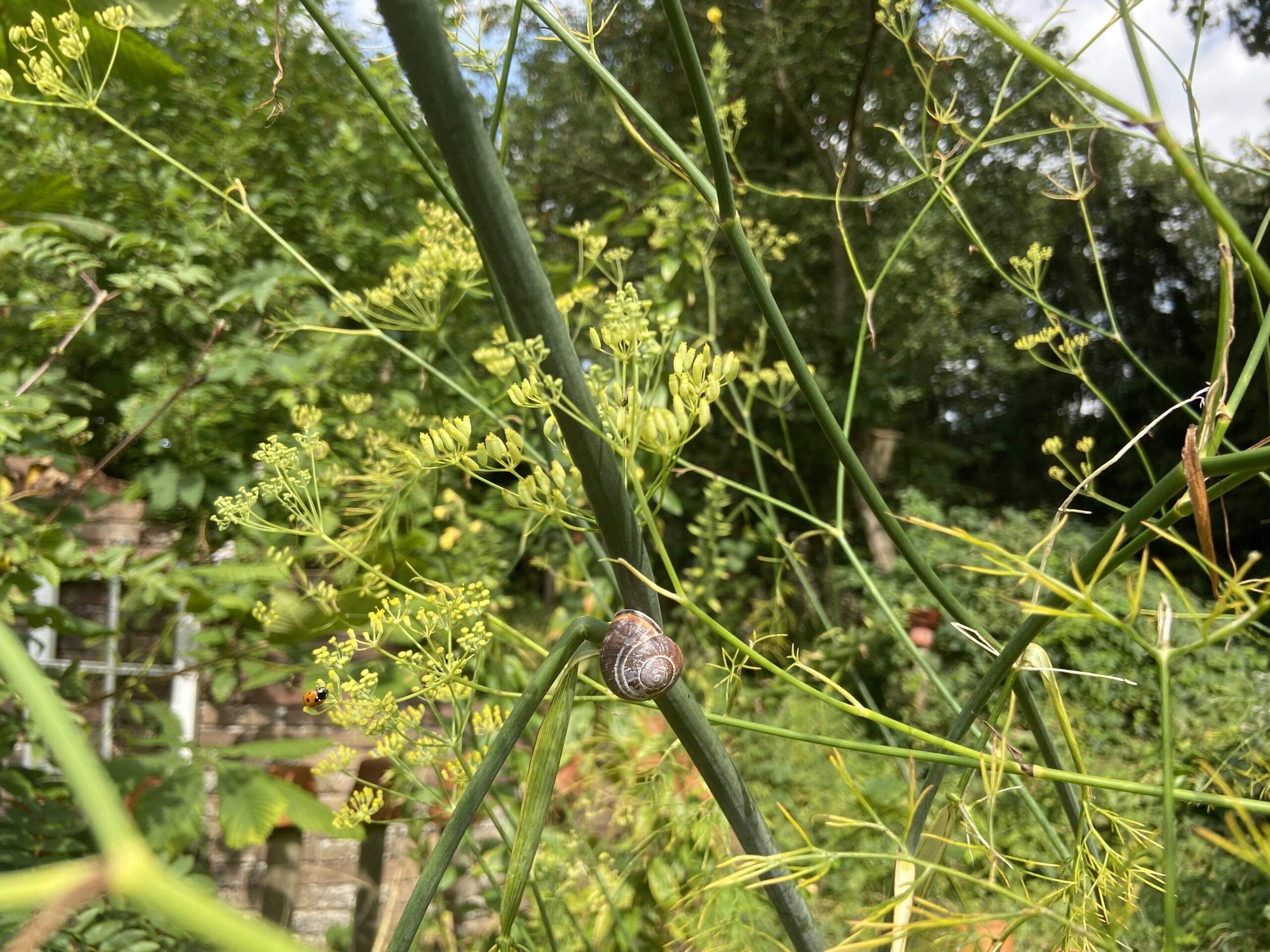 Rondje Tuin in  Oosterstreek