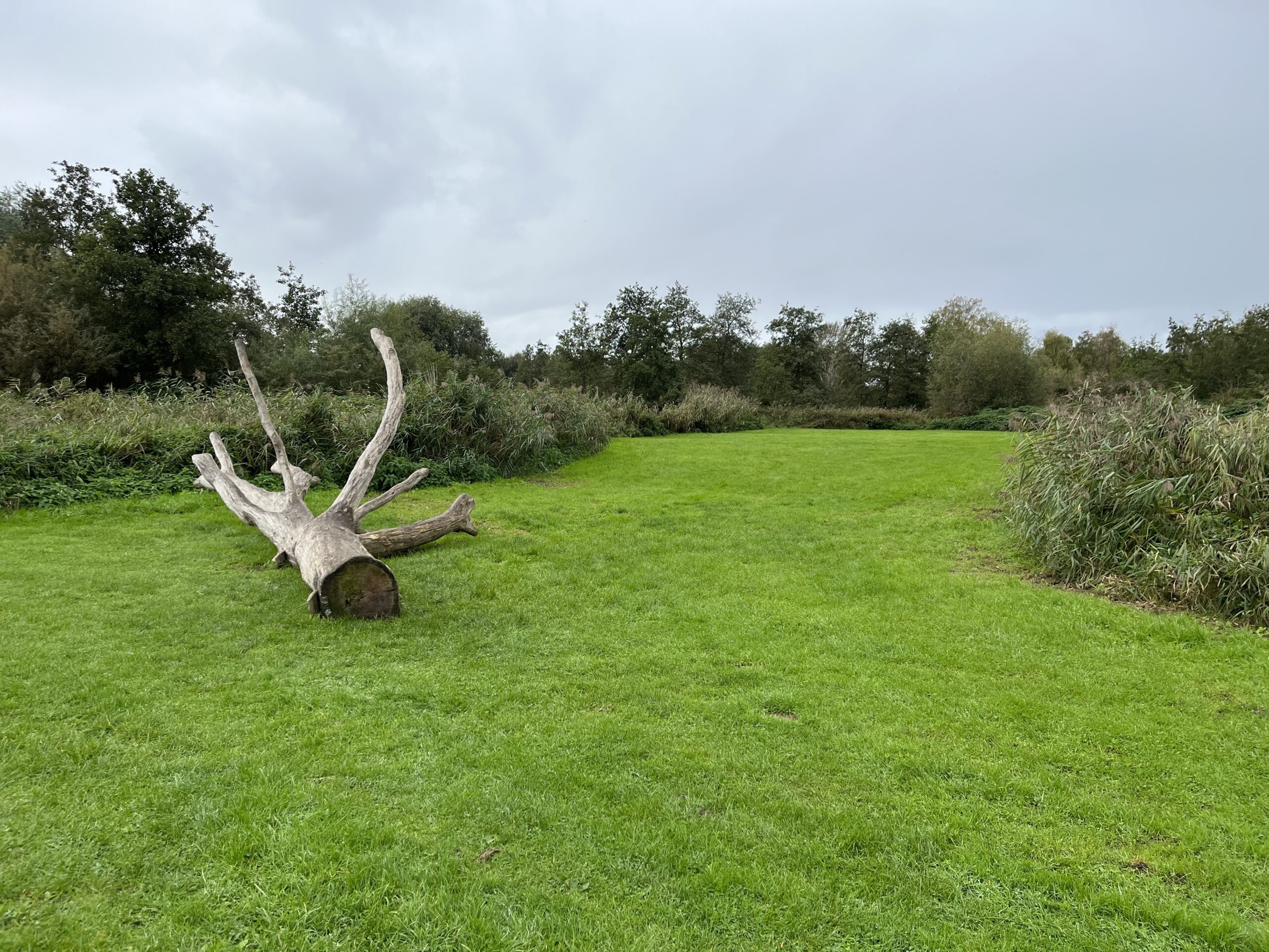 Naar de Proeftuin van Holland en Boomkwekerijmuseum in Boskoop