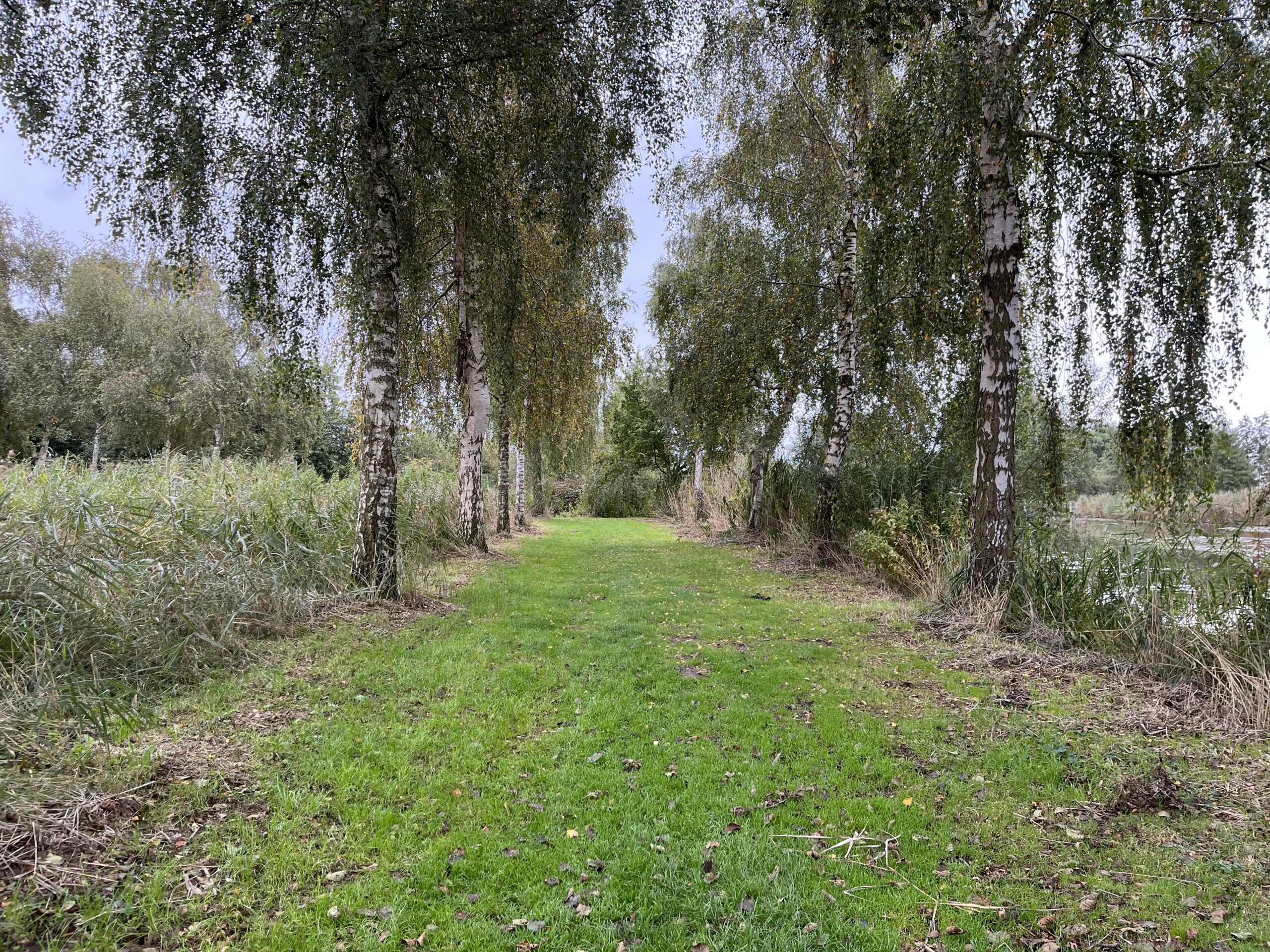 Naar de Proeftuin van Holland en Boomkwekerijmuseum in Boskoop