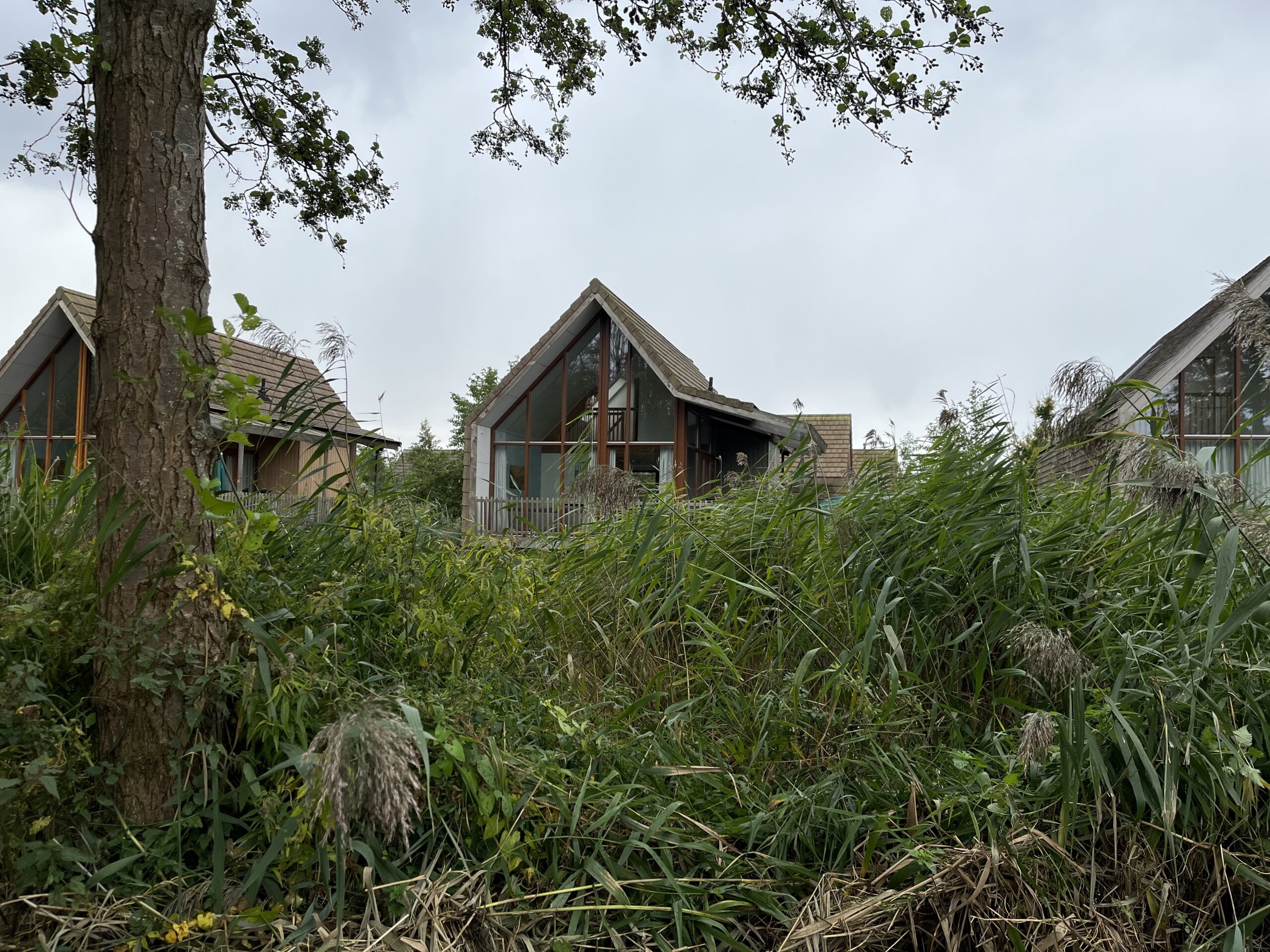 Naar de Proeftuin van Holland en Boomkwekerijmuseum in Boskoop