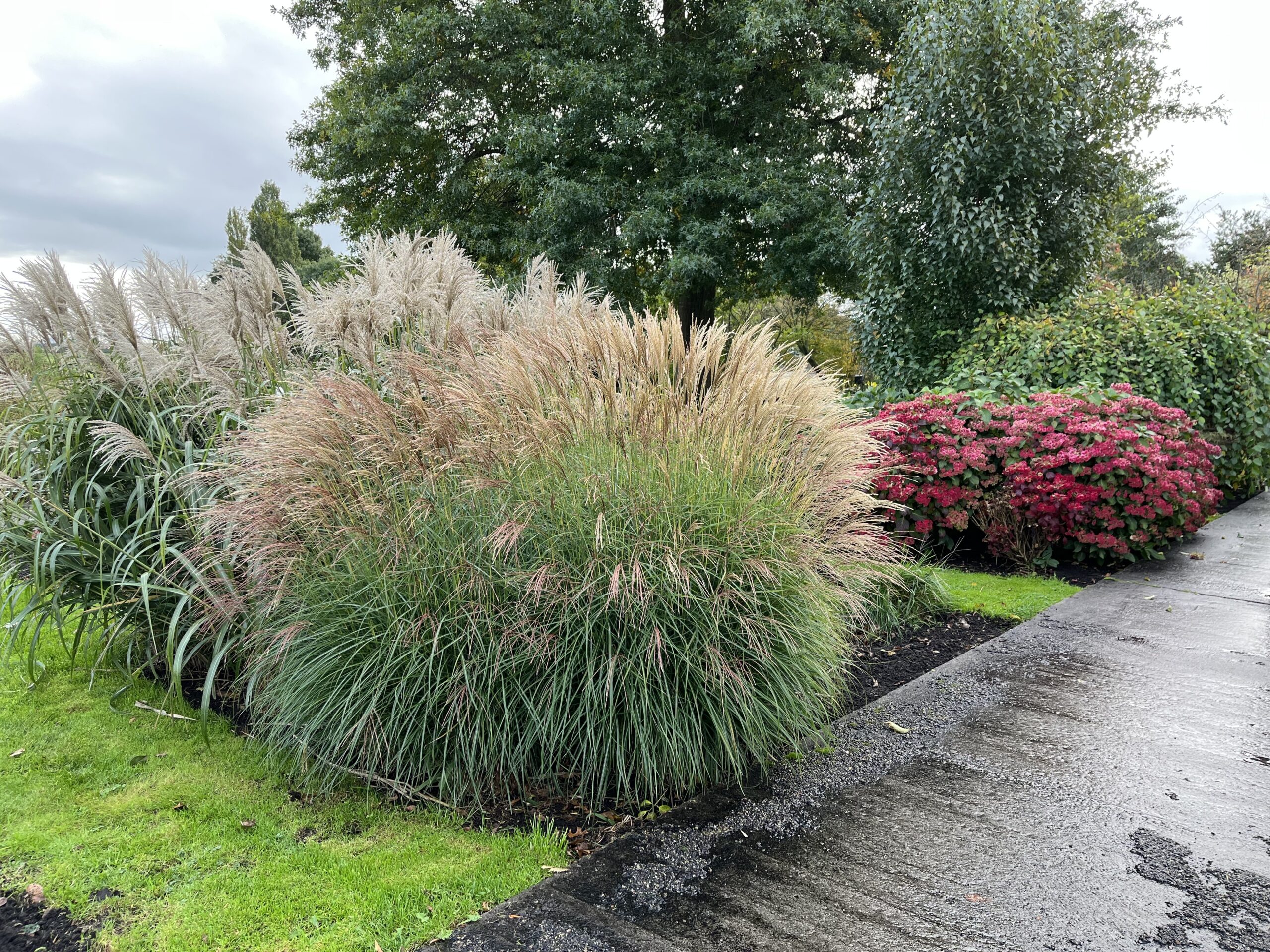 Naar de Proeftuin van Holland en Boomkwekerijmuseum in Boskoop