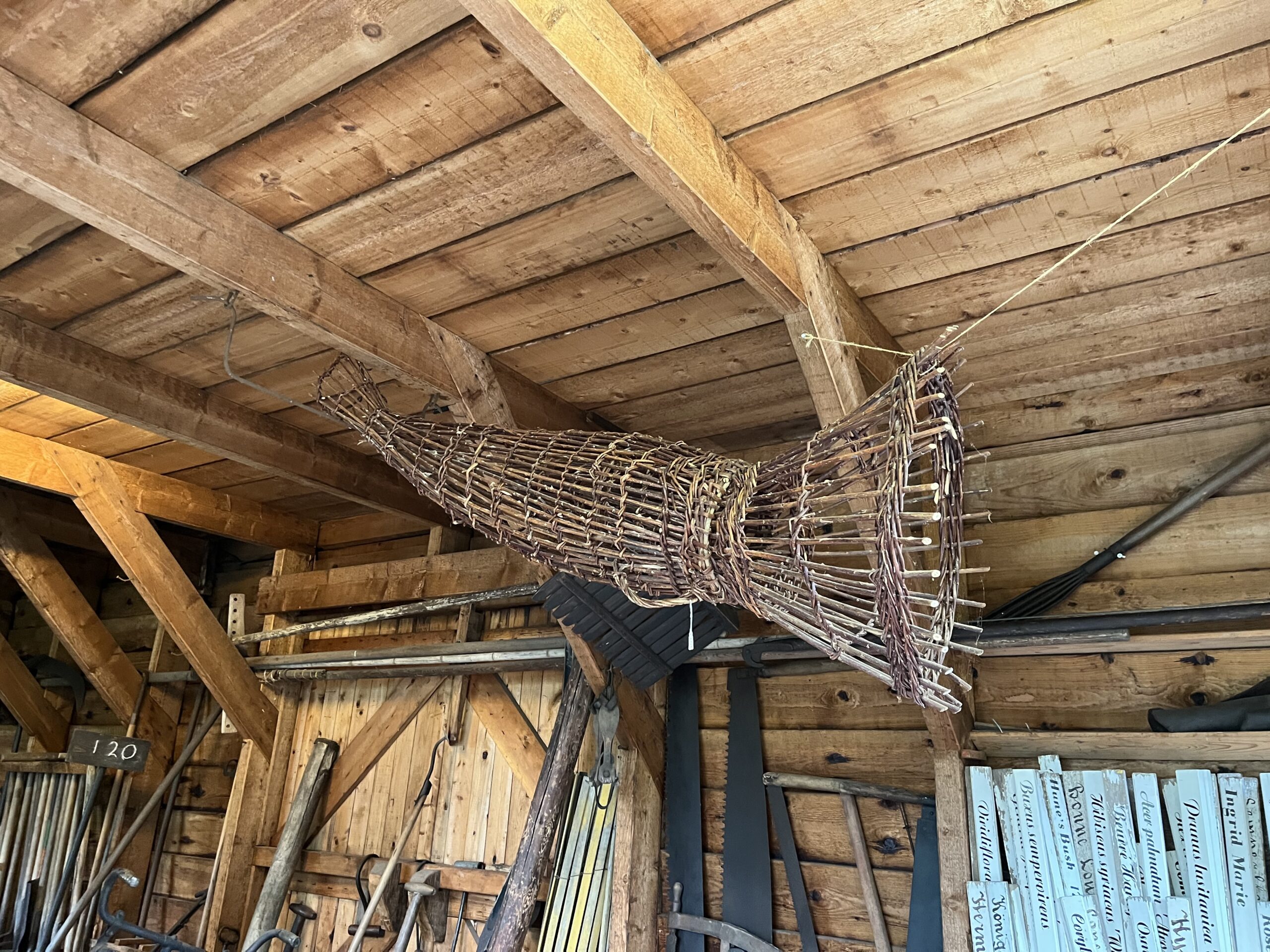 Naar de Proeftuin van Holland en Boomkwekerijmuseum in Boskoop