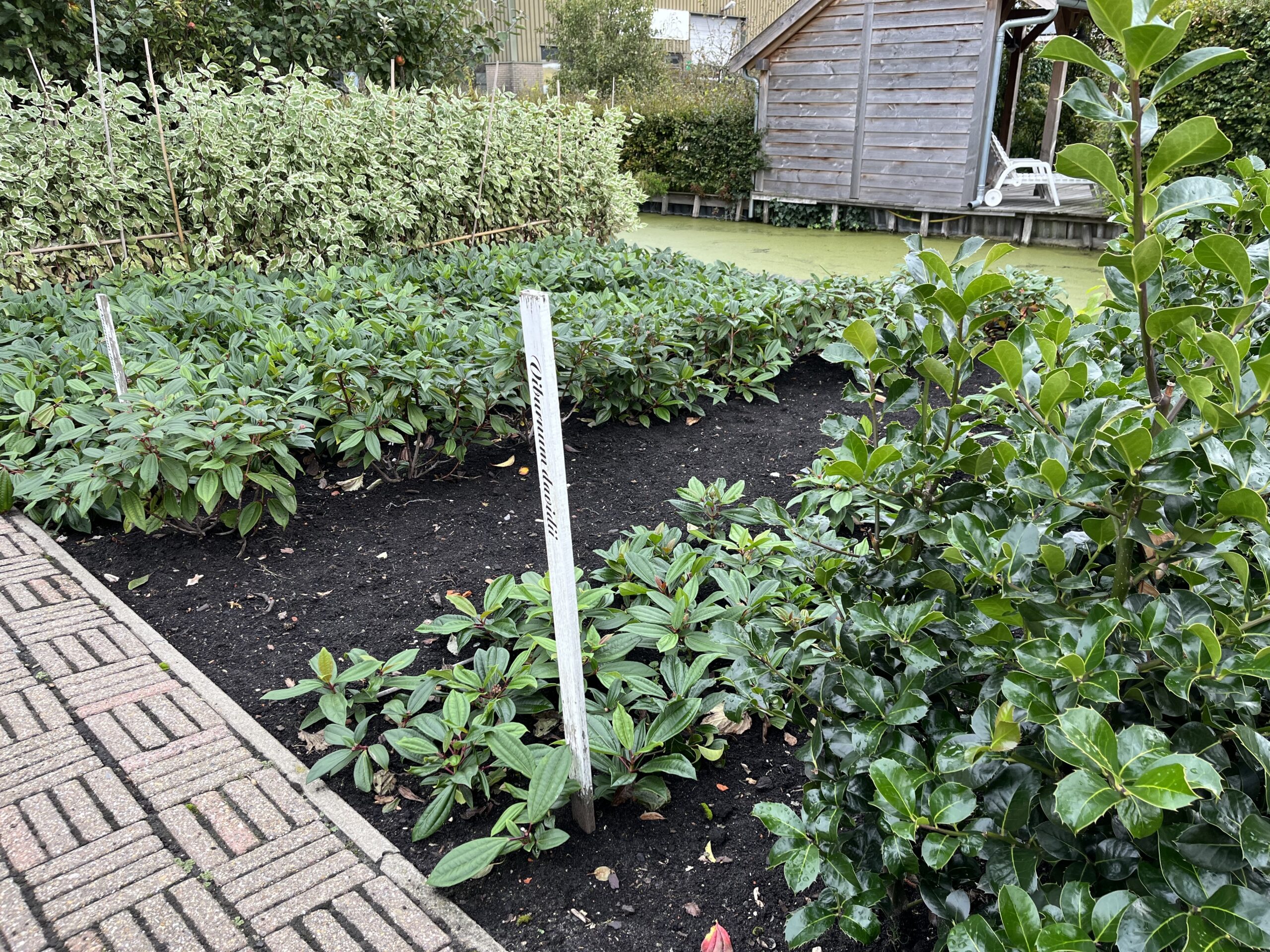 Naar de Proeftuin van Holland en Boomkwekerijmuseum in Boskoop