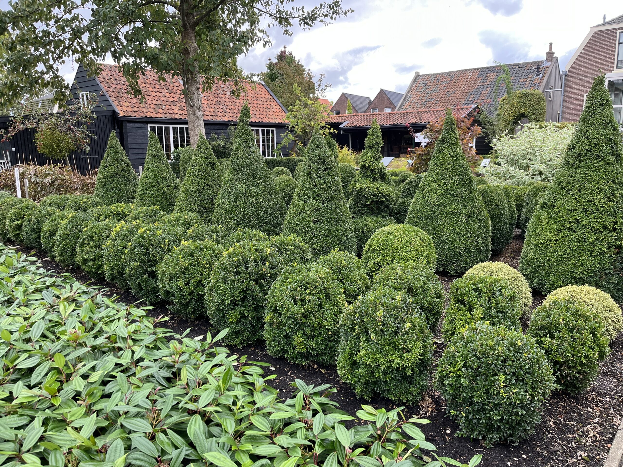 Naar de Proeftuin van Holland en Boomkwekerijmuseum in Boskoop