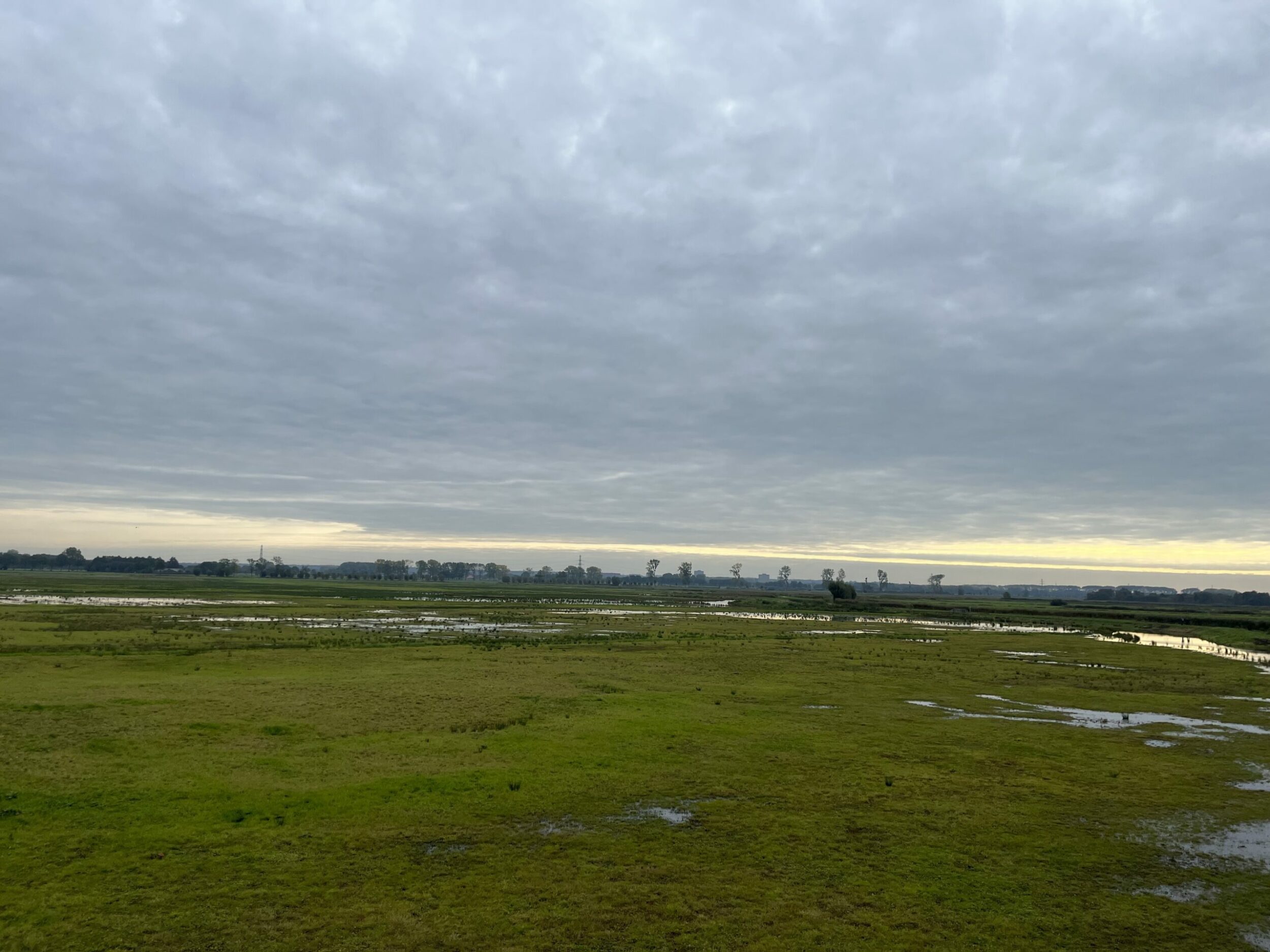 Rondje Binnenveld