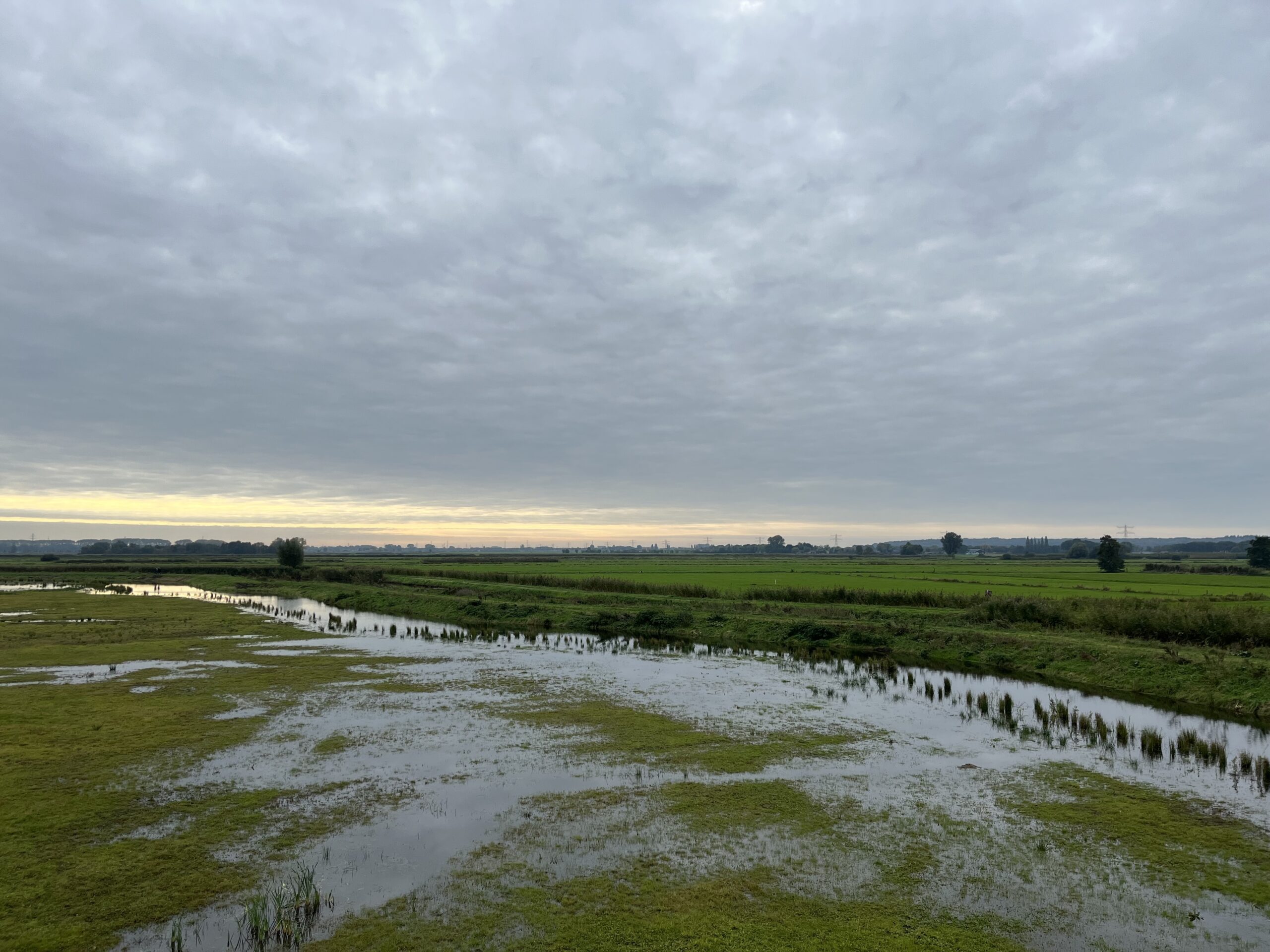 Rondje Binnenveld