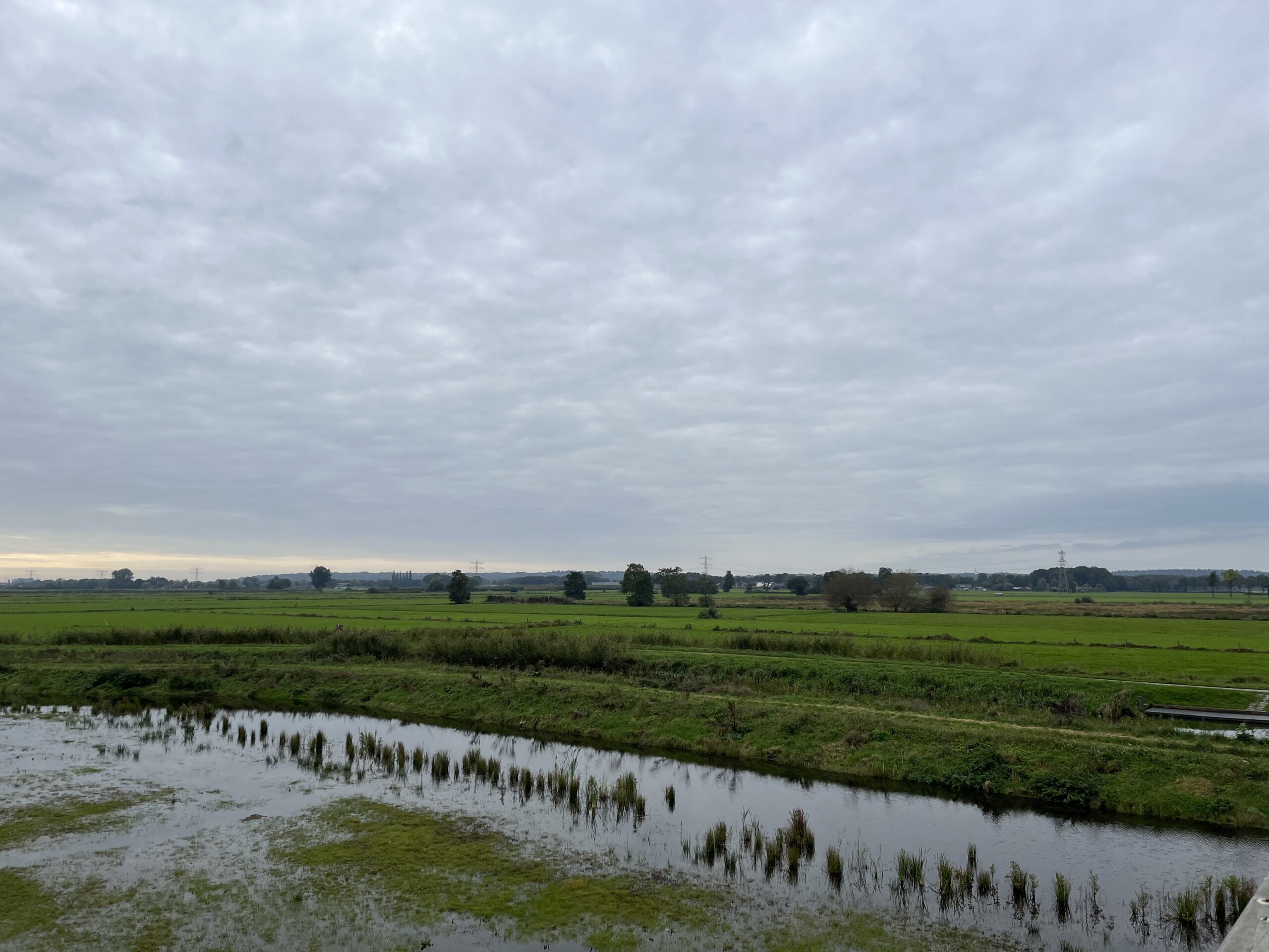 Rondje Binnenveld