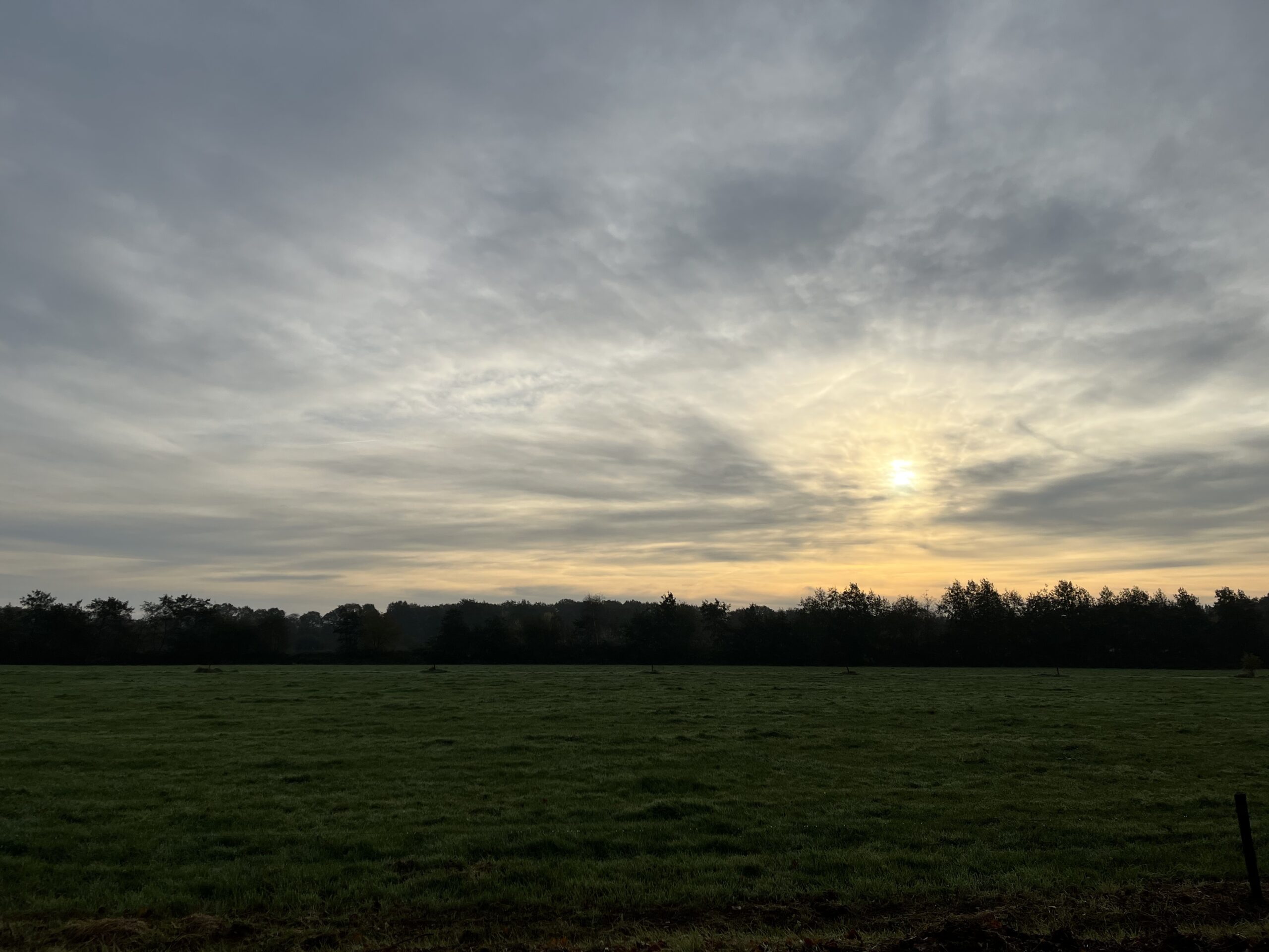 Rondje Overberg - Prattenburg Bos Eindseweg Overberg