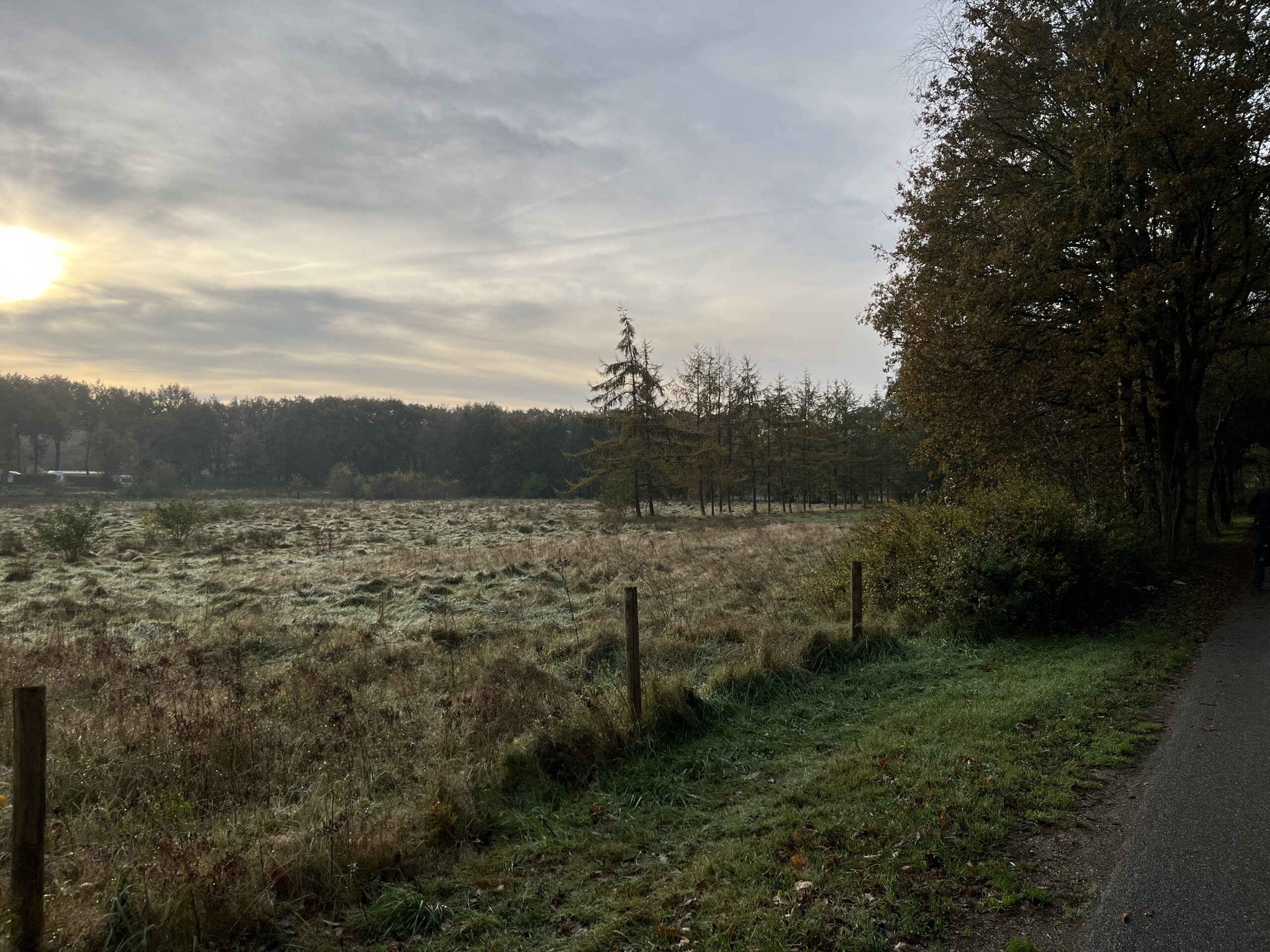 Rondje Overberg - Prattenburg Bos