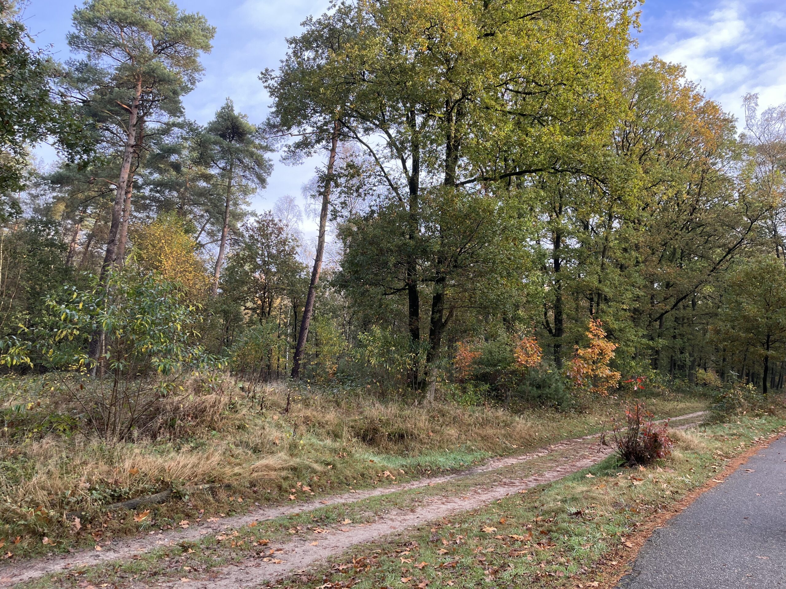 Rondje Overberg - Prattenburg Bos