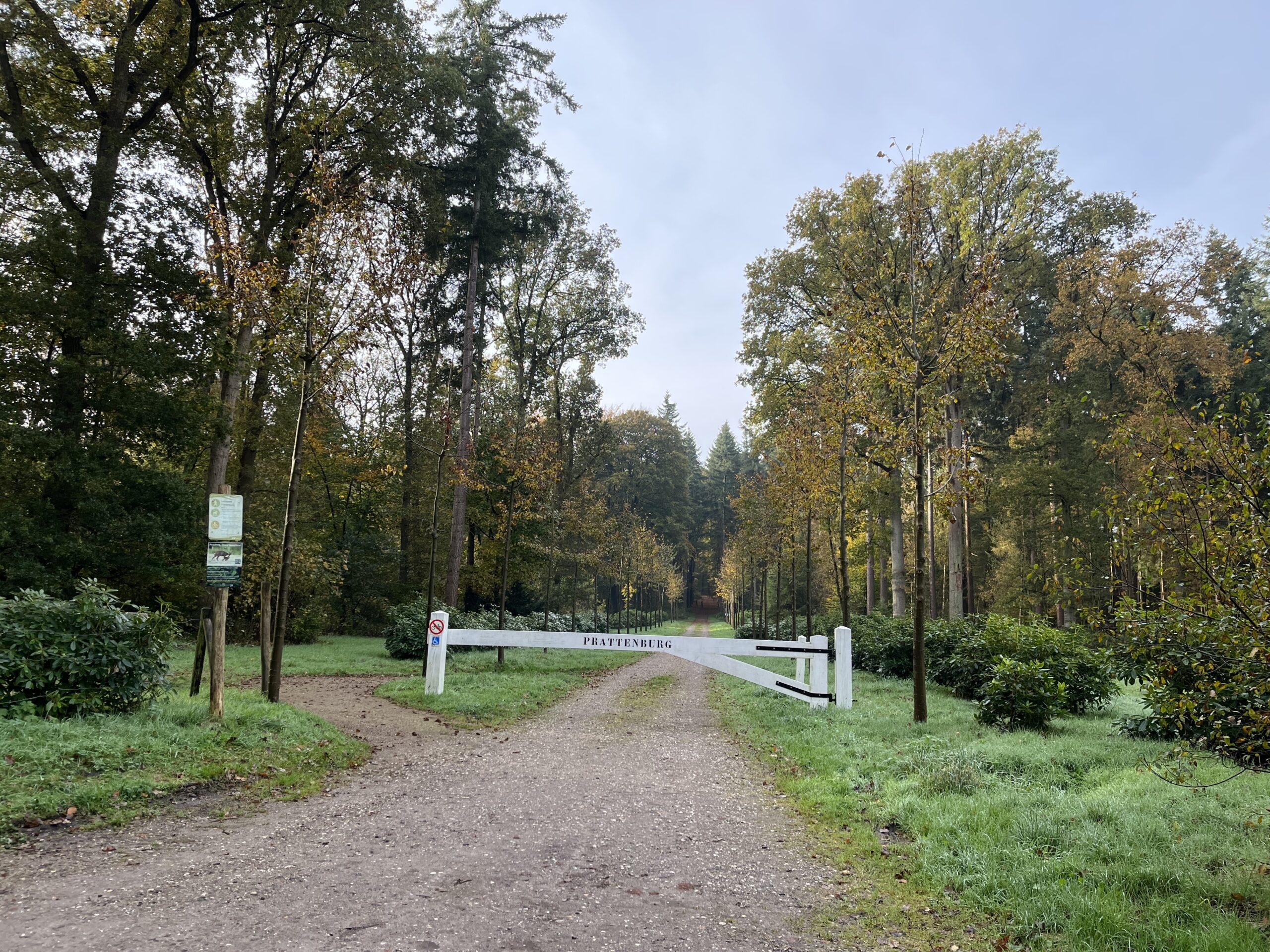 Rondje Overberg - Prattenburg Bos