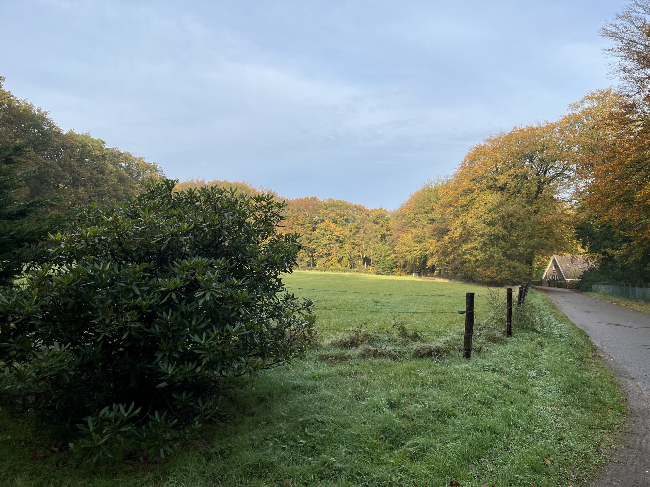 Rondje Overberg - Prattenburg Bos