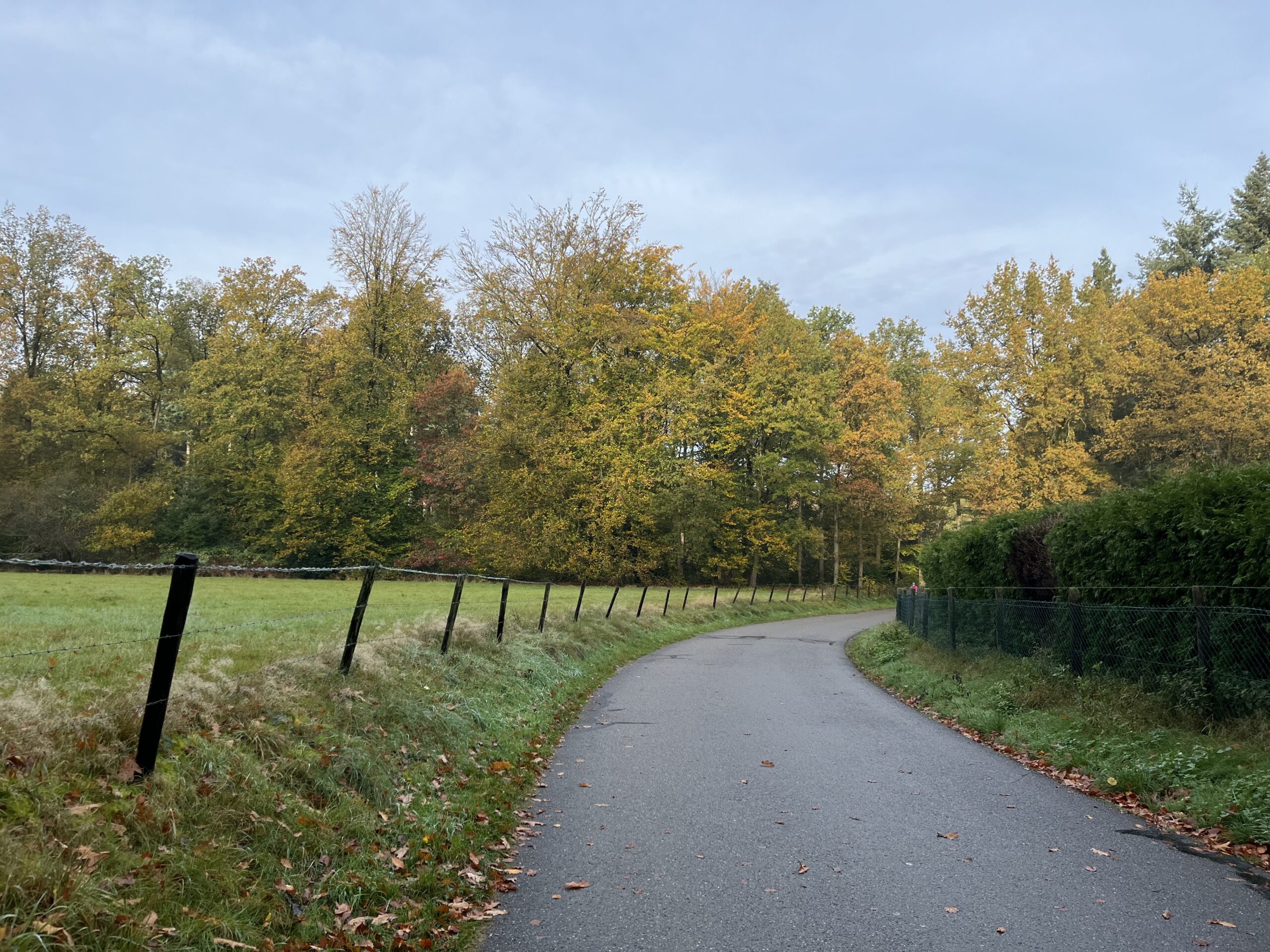 Rondje Overberg - Prattenburg Bos