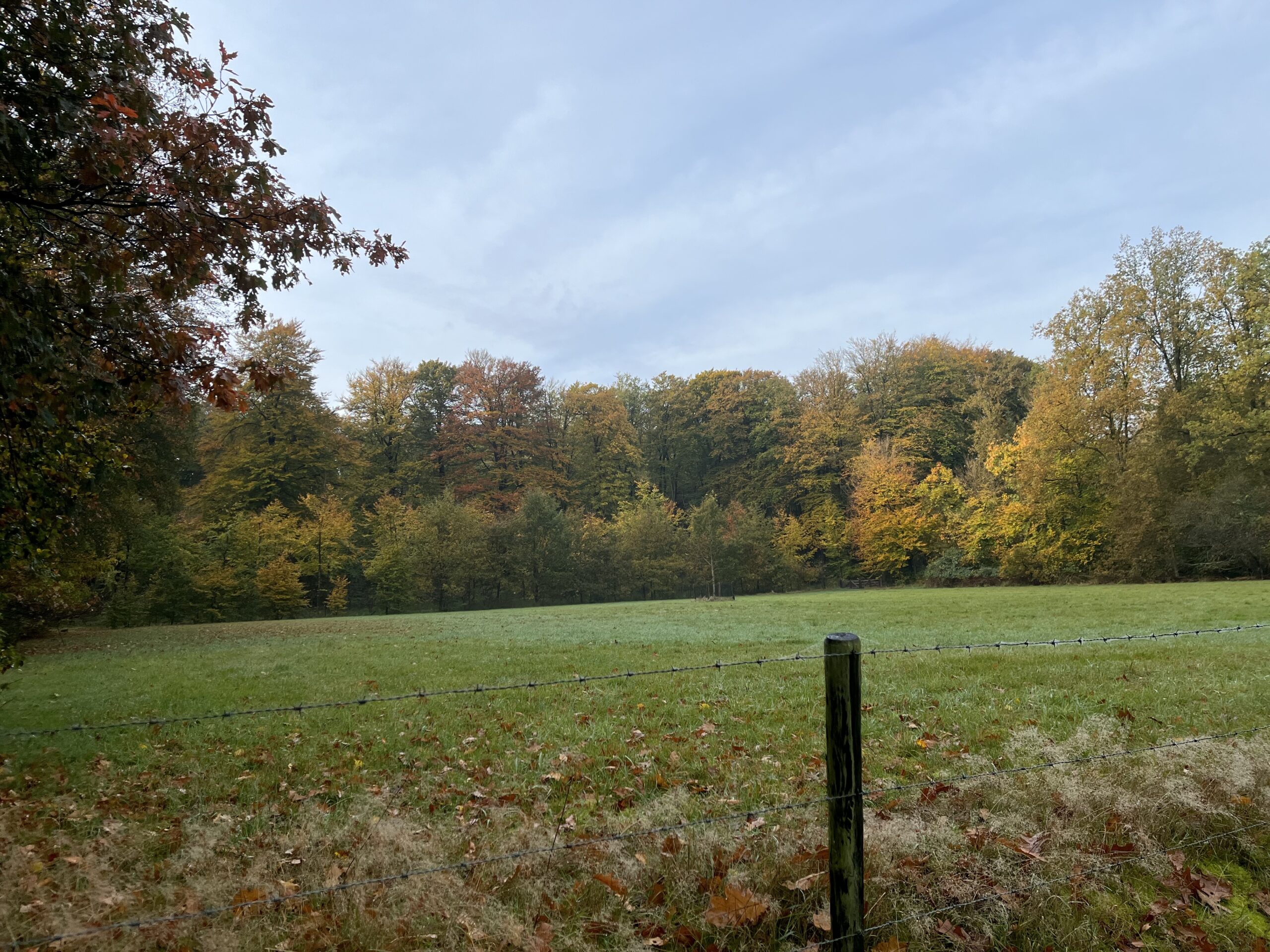 Rondje Overberg - Prattenburg Bos