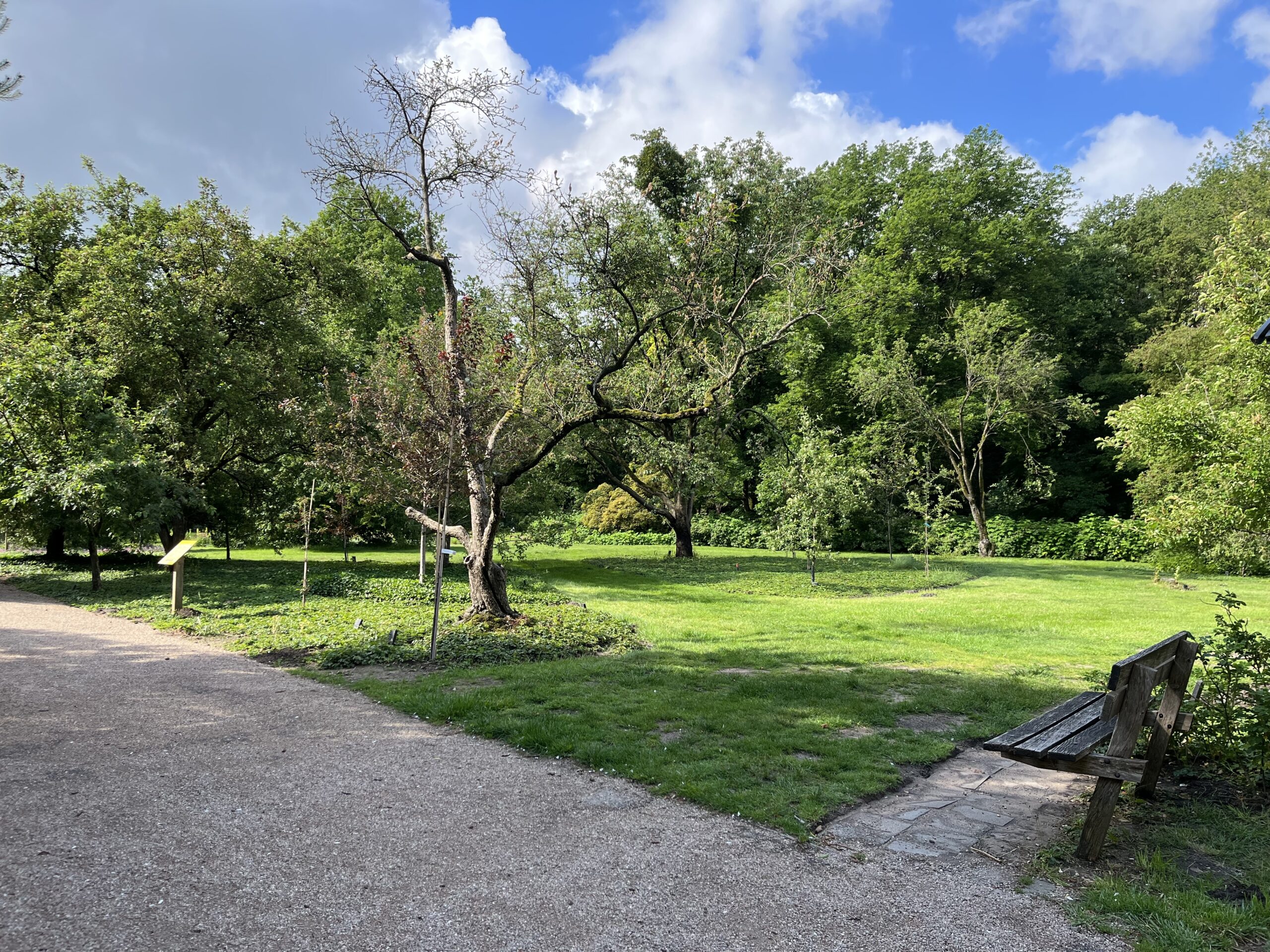 Wandeling Belmonte Arboretum Wageningen