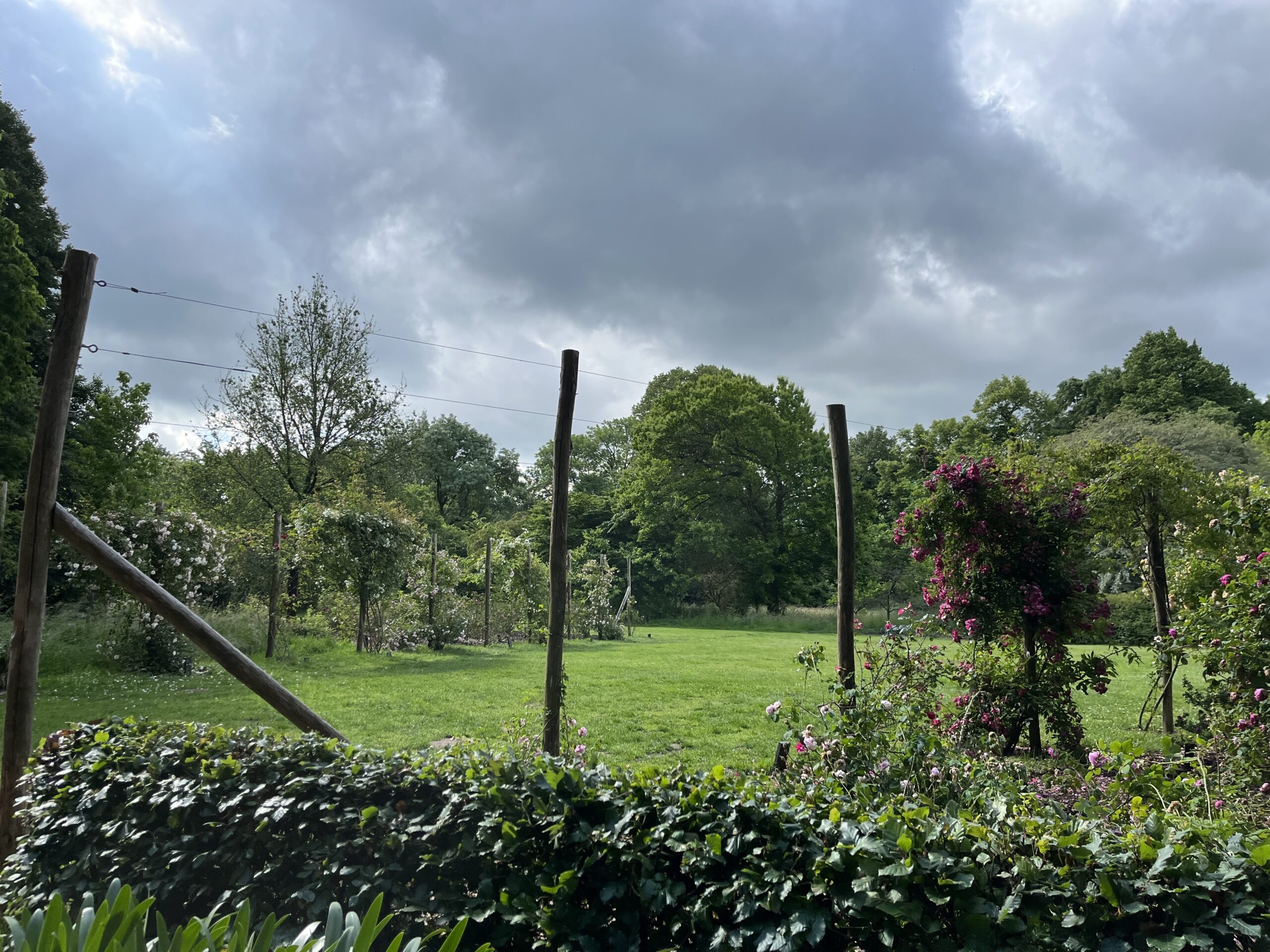 Wandeling Belmonte Arboretum Wageningen