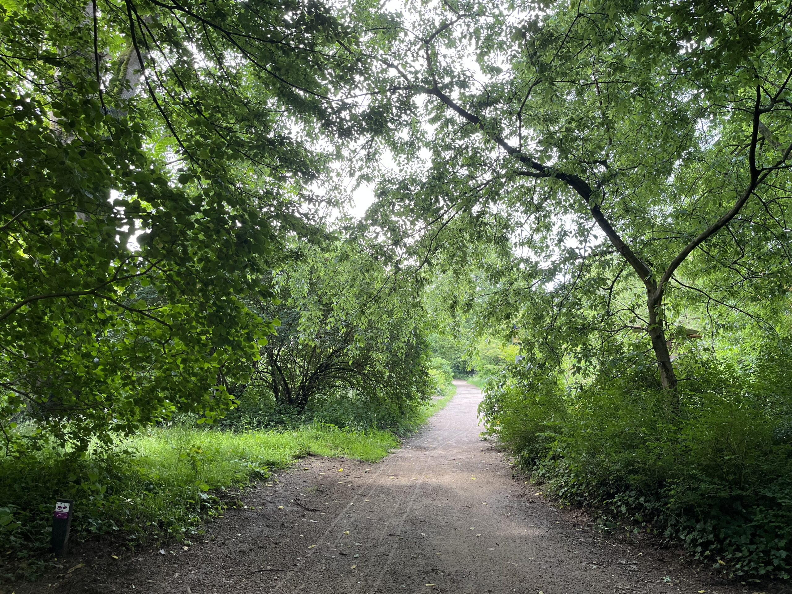 Wandeling Belmonte Arboretum Wageningen