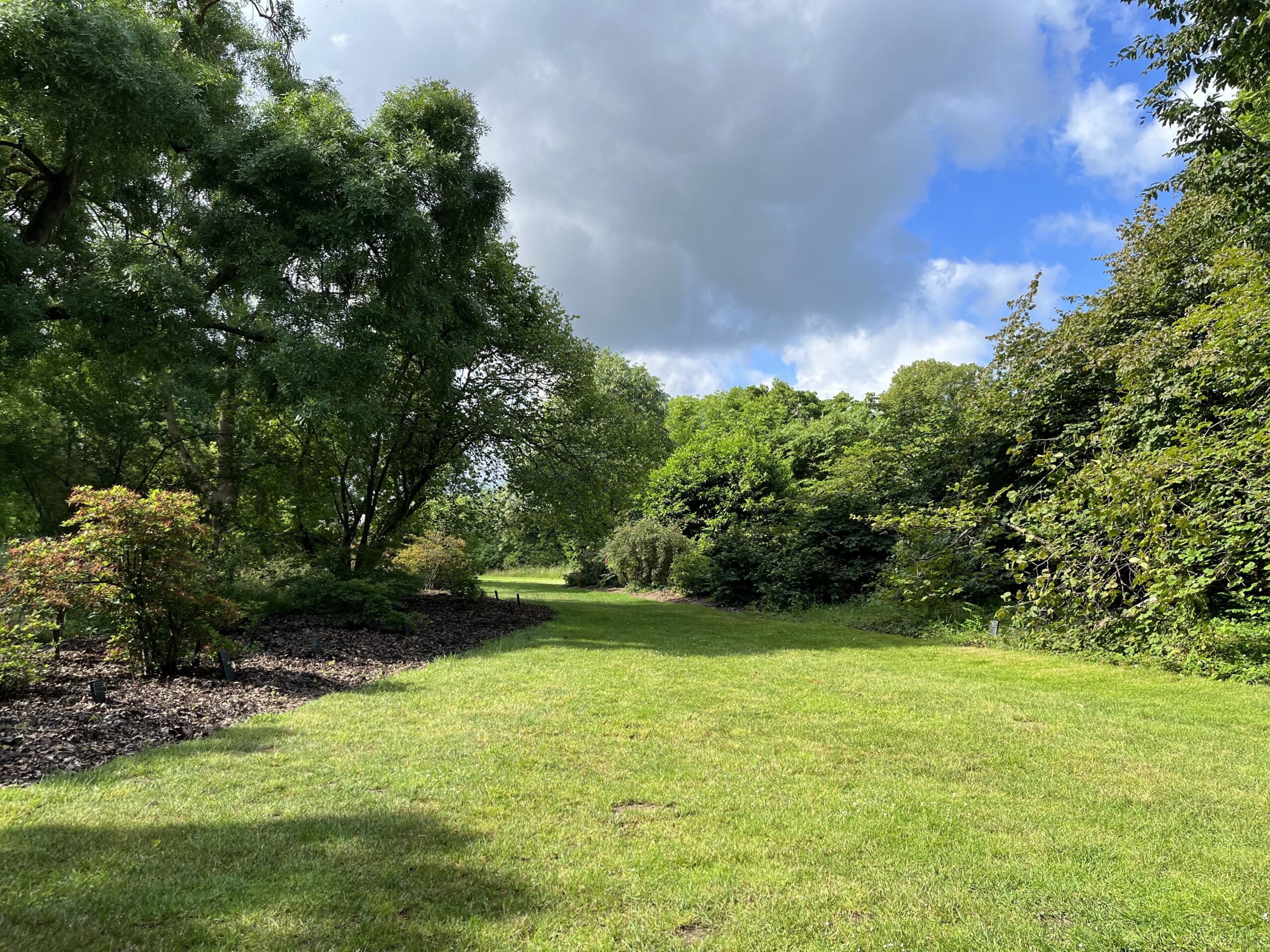 Wandeling Belmonte Arboretum Wageningen