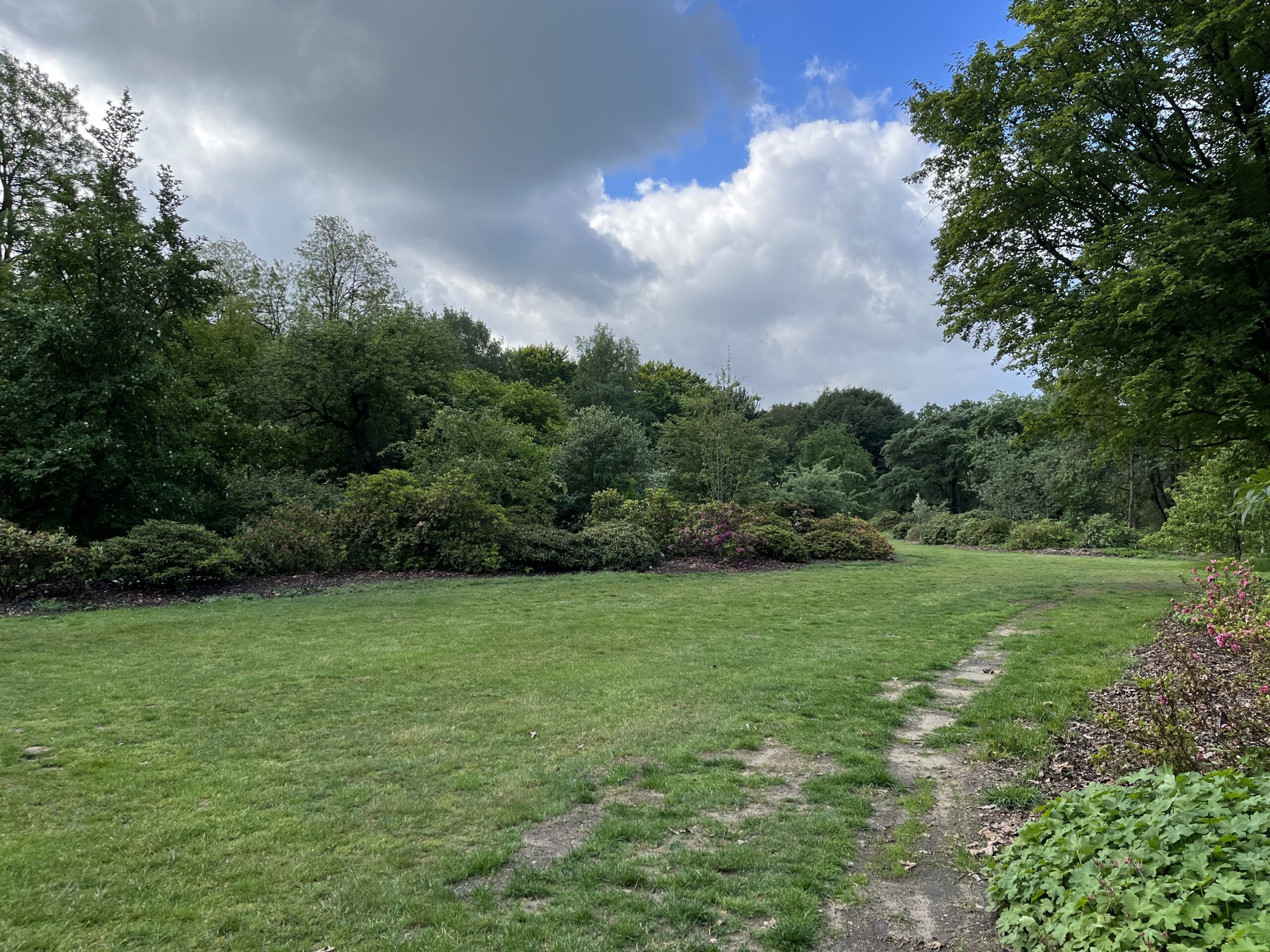 Wandeling Belmonte Arboretum Wageningen