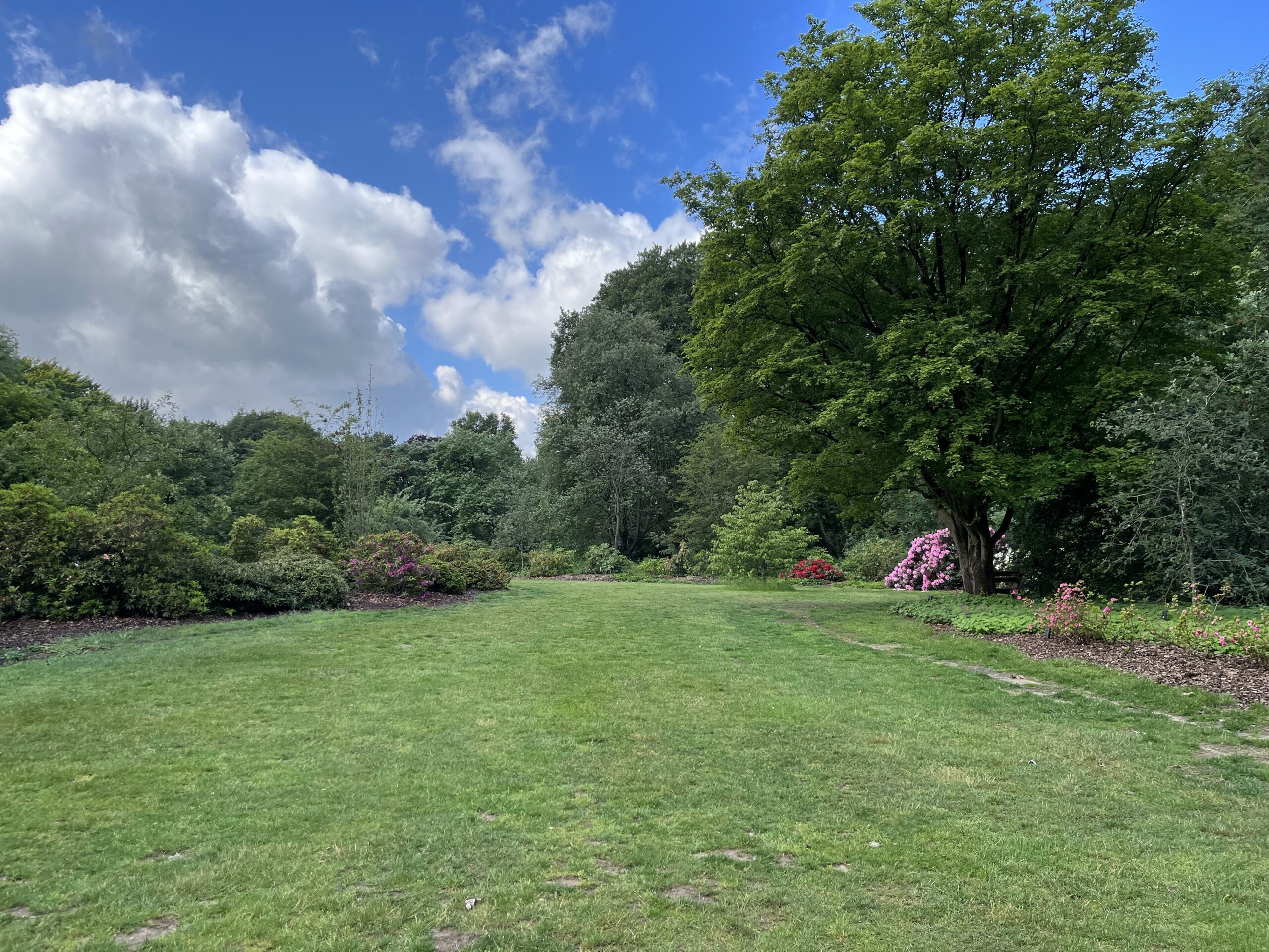 Wandeling Belmonte Arboretum Wageningen