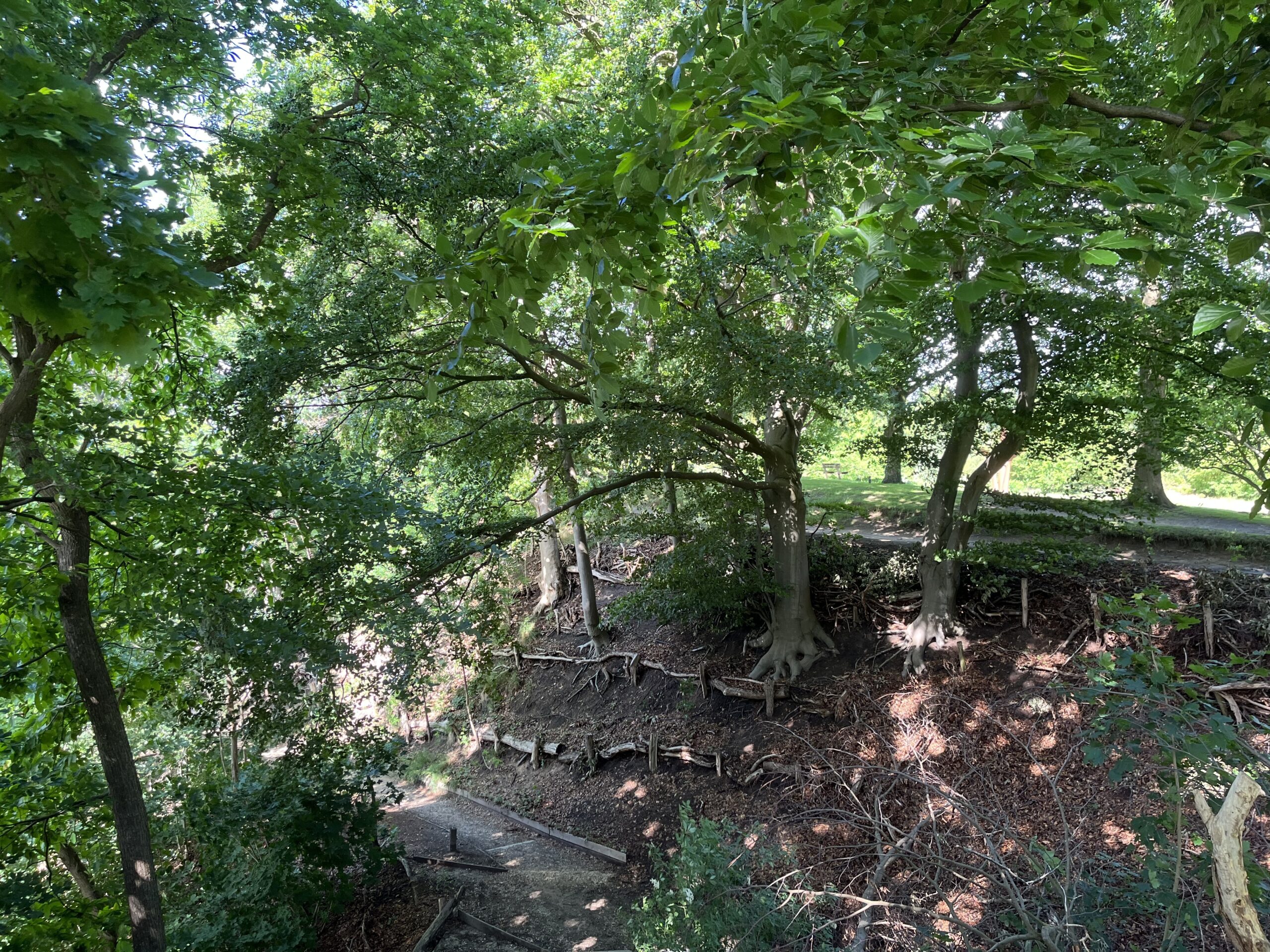 Wandeling Belmonte Arboretum Wageningen