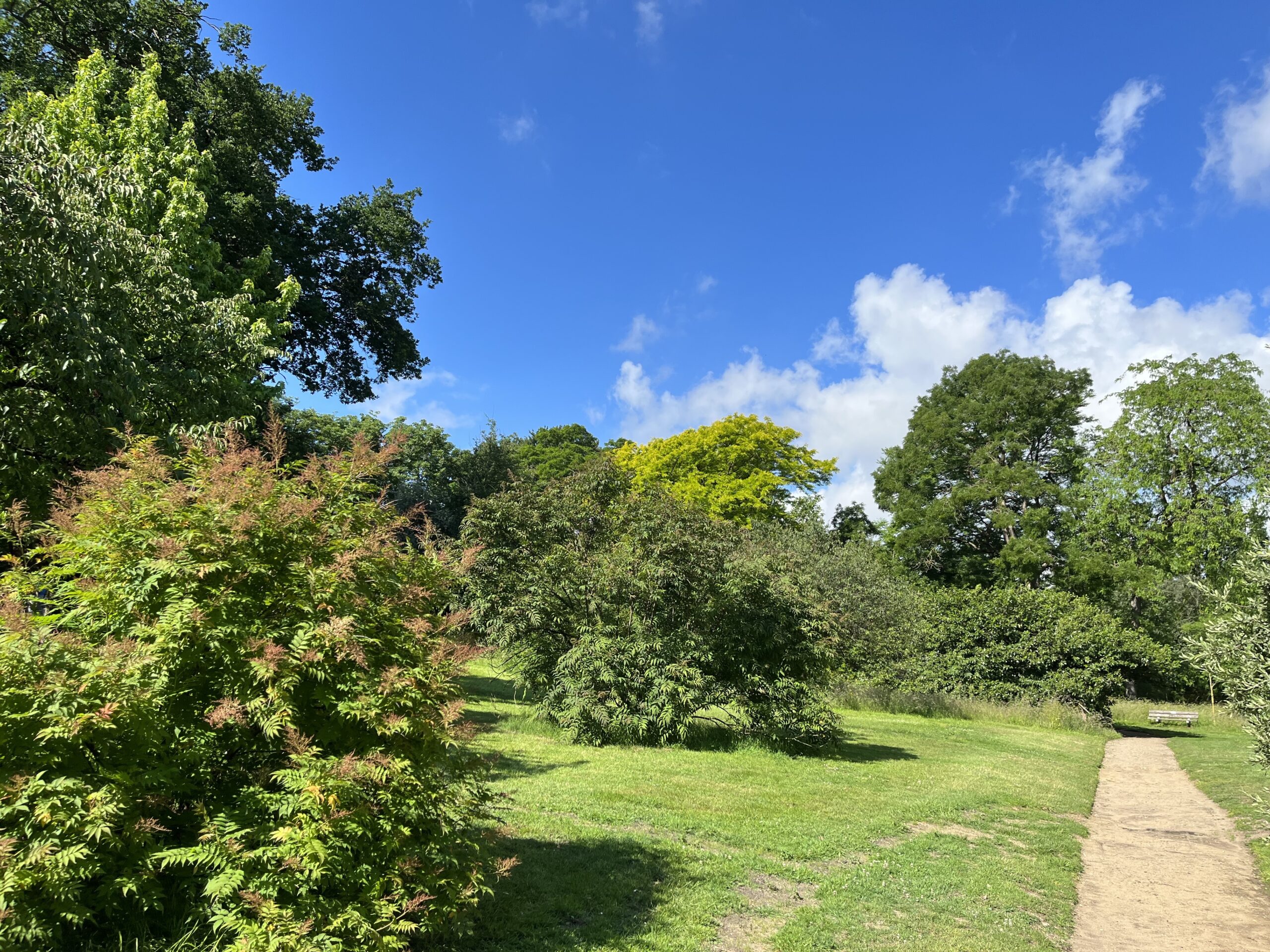 Wandeling Belmonte Arboretum Wageningen