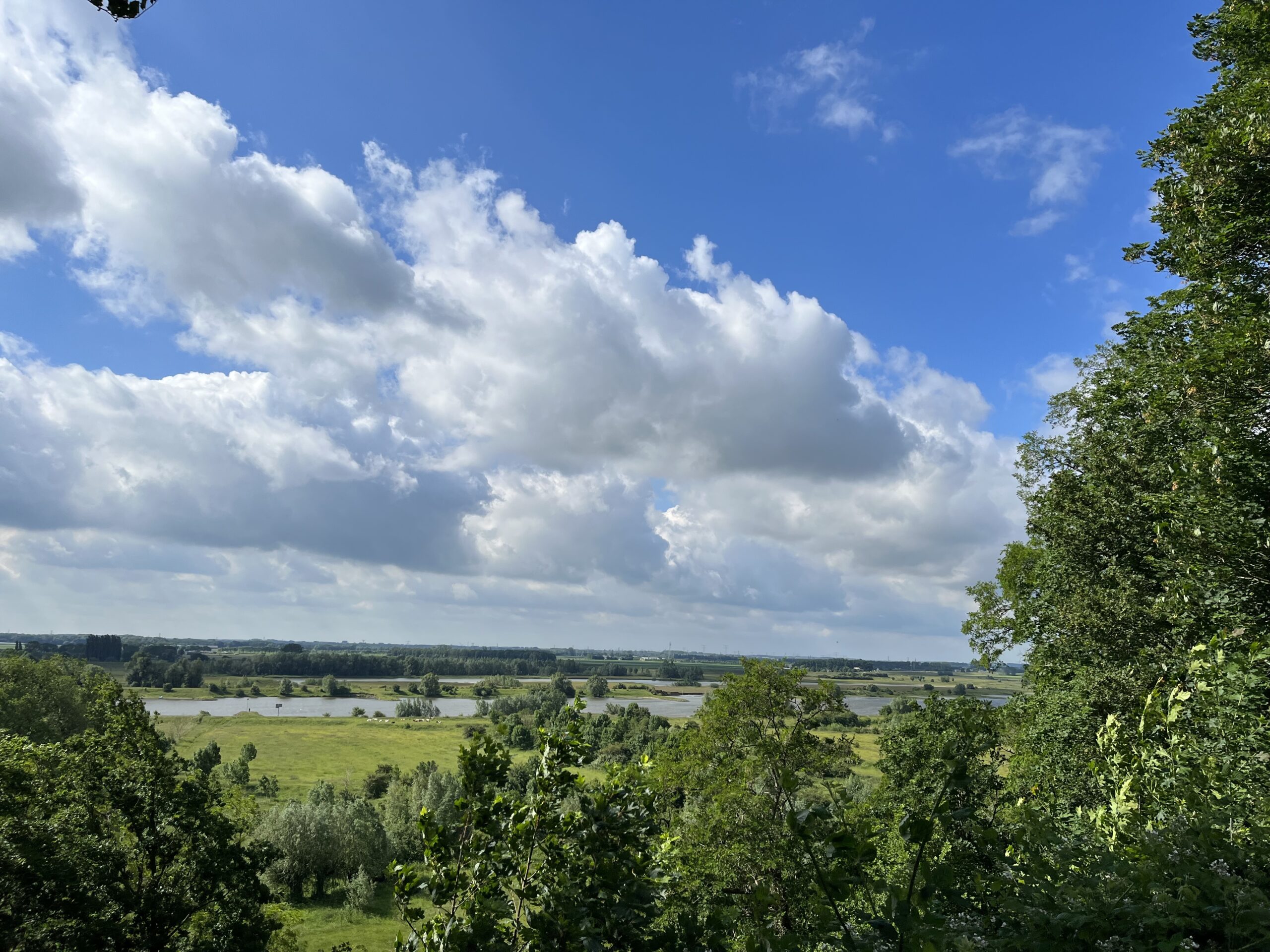 Wandeling Belmonte Arboretum Wageningen