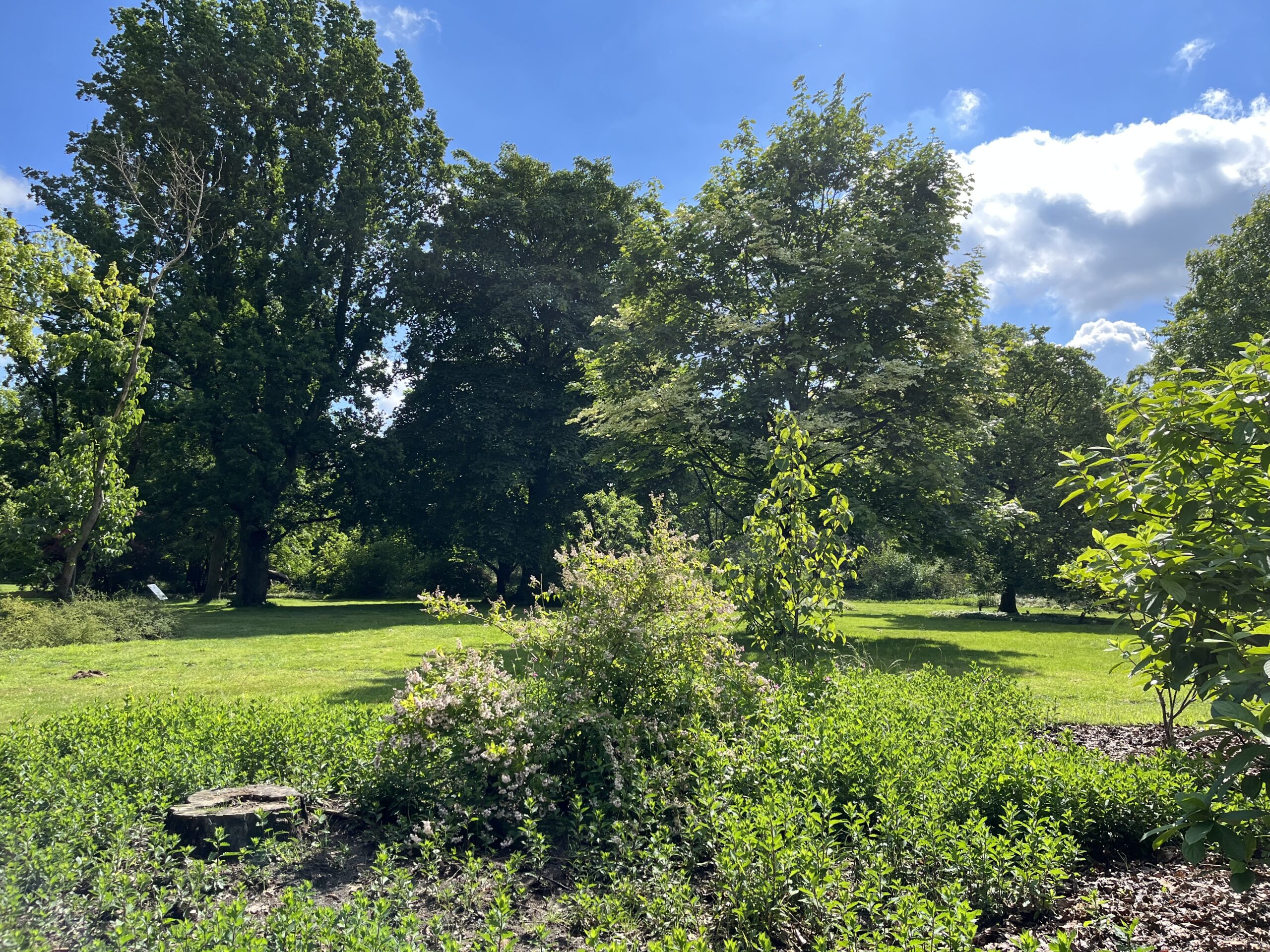 Wandeling Belmonte Arboretum Wageningen