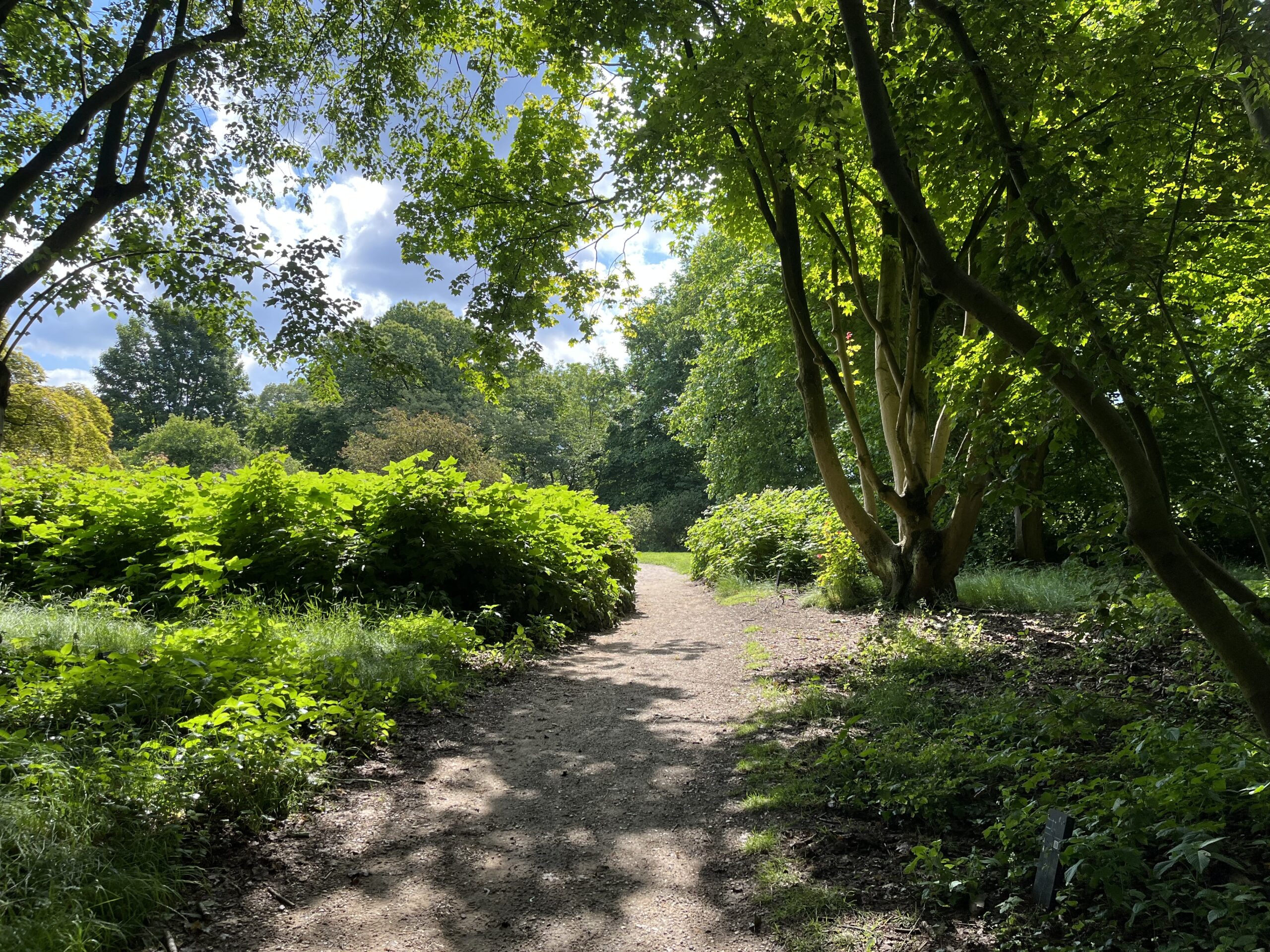 Wandeling Belmonte Arboretum Wageningen