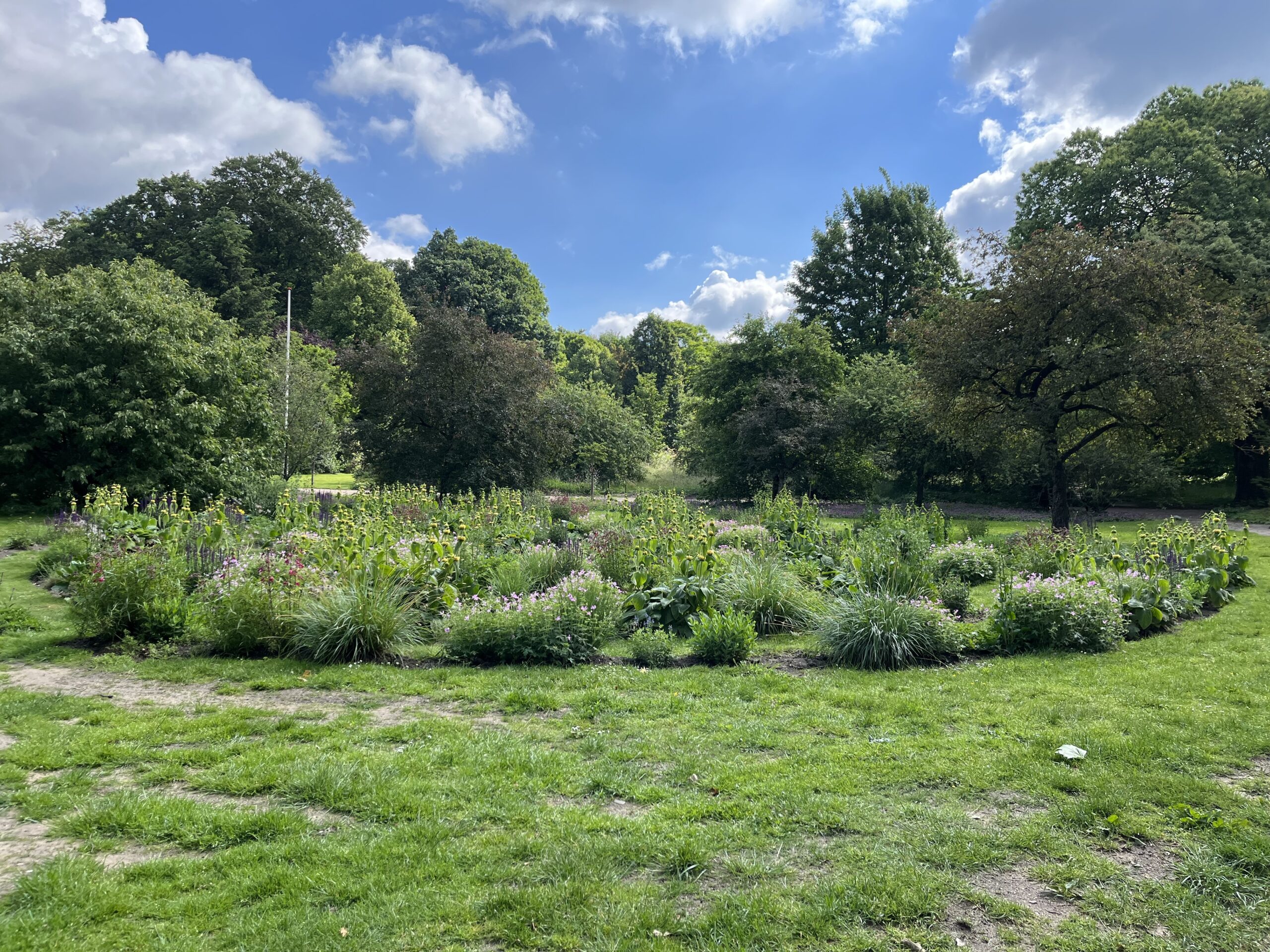 Wandeling Belmonte Arboretum Wageningen