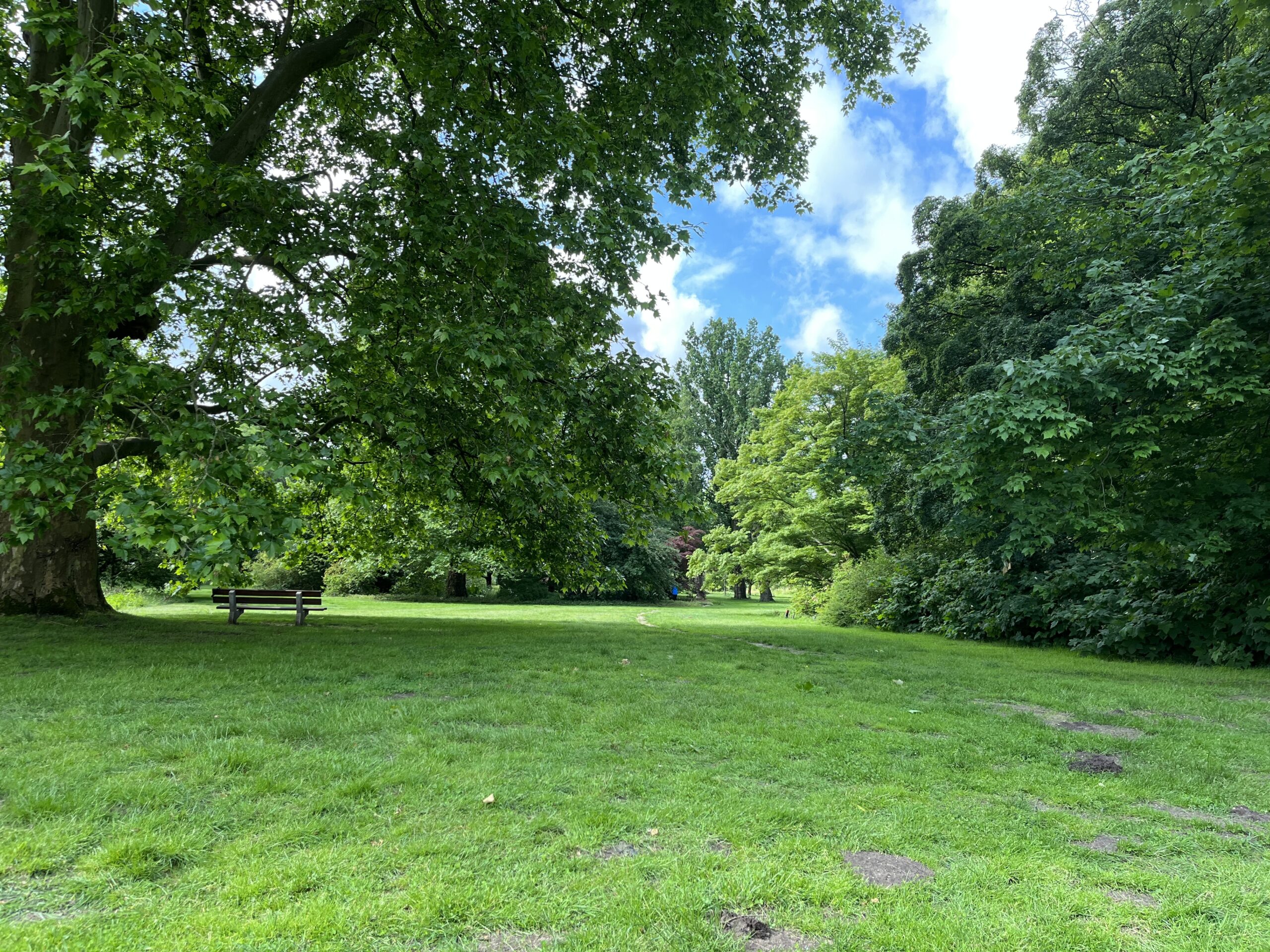 Wandeling Belmonte Arboretum Wageningen