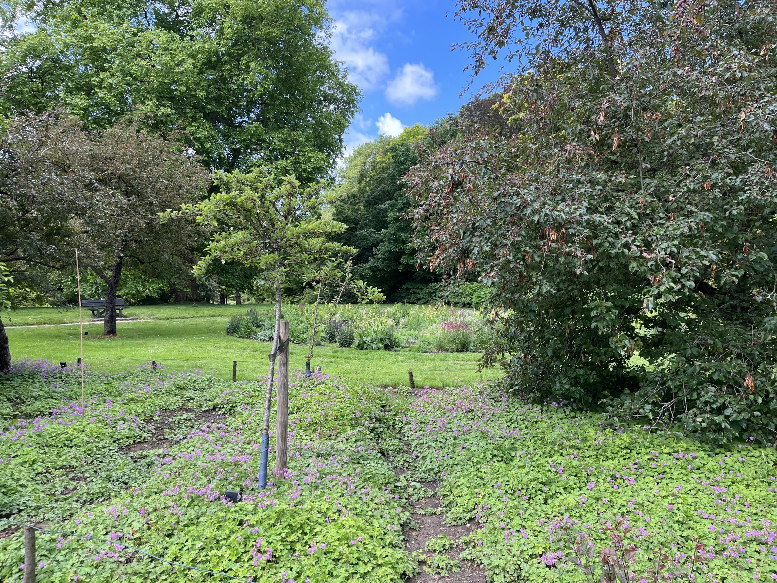 Wandeling Belmonte Arboretum Wageningen