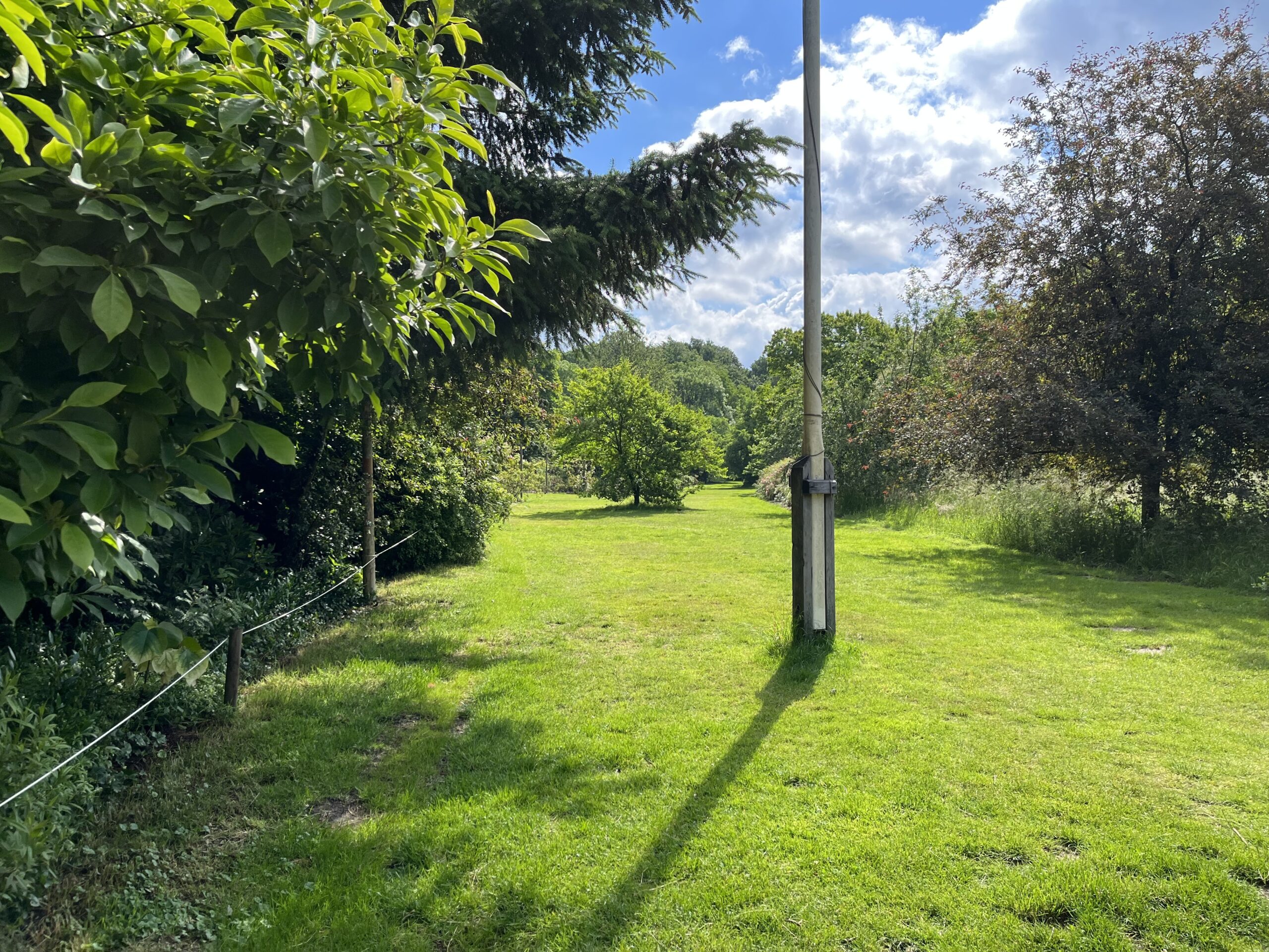 Wandeling Belmonte Arboretum Wageningen