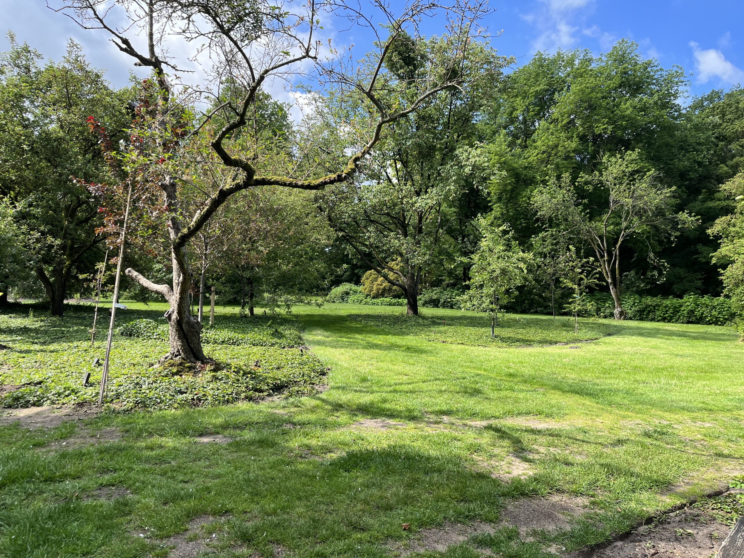 Wandeling Belmonte Arboretum Wageningen