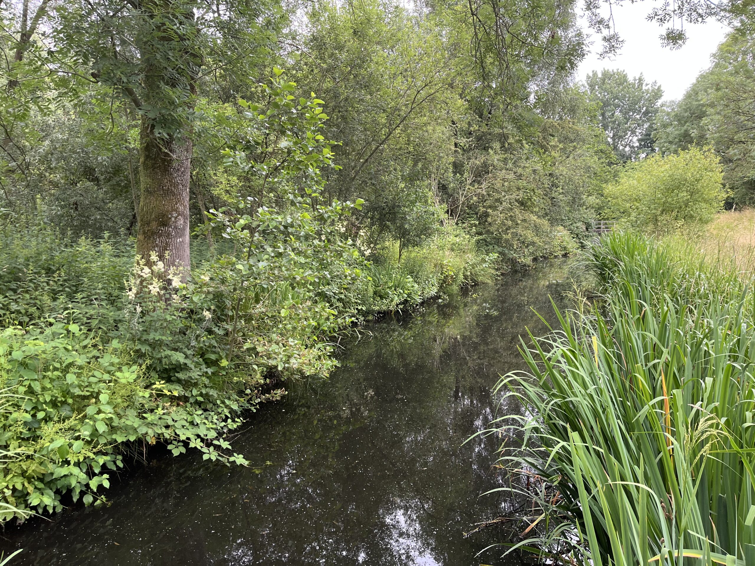 Wandeling door Park Bloeyendael Rijnsweerd Utrecht