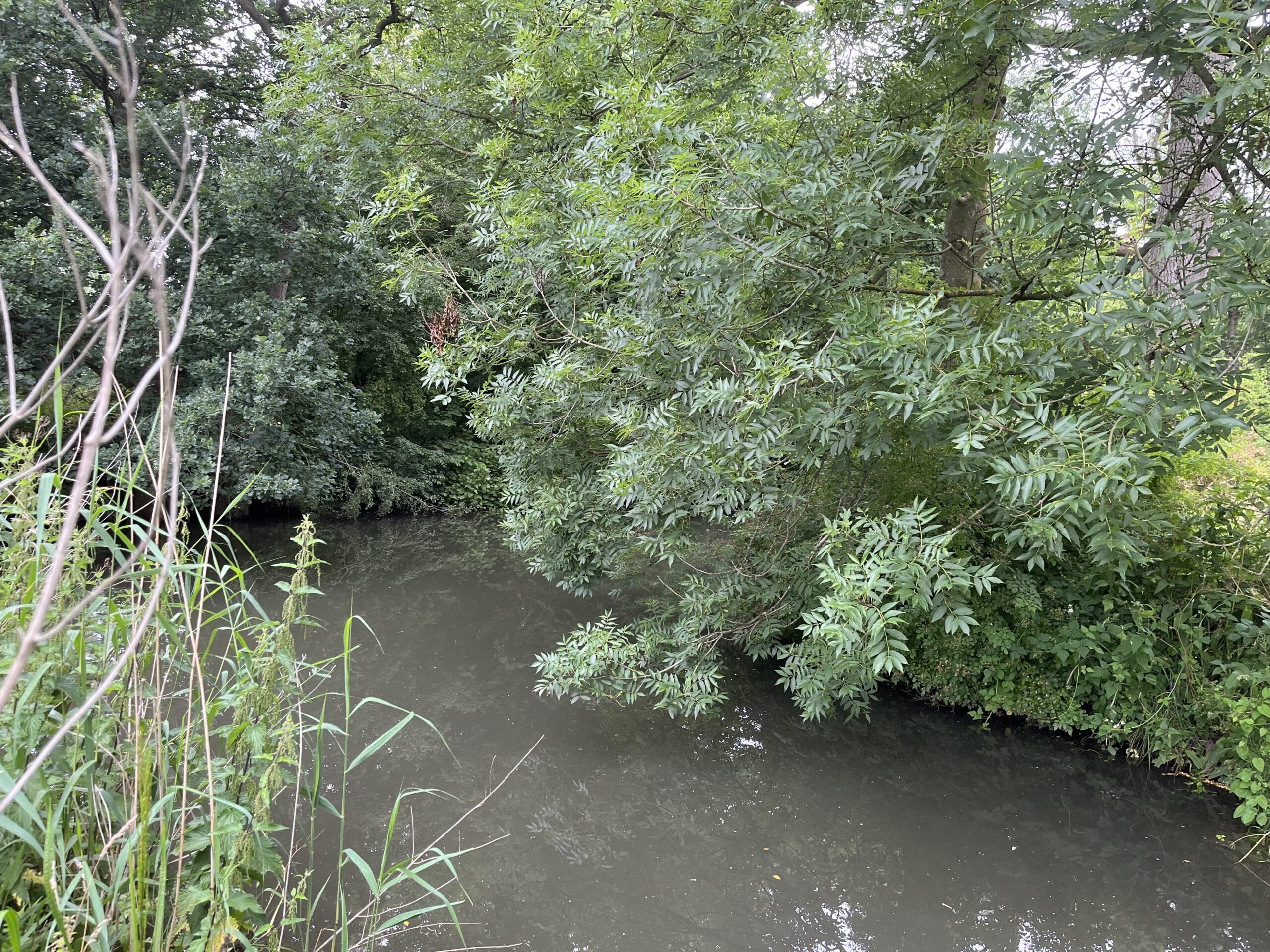 Wandeling door Park Bloeyendael Rijnsweerd Utrecht