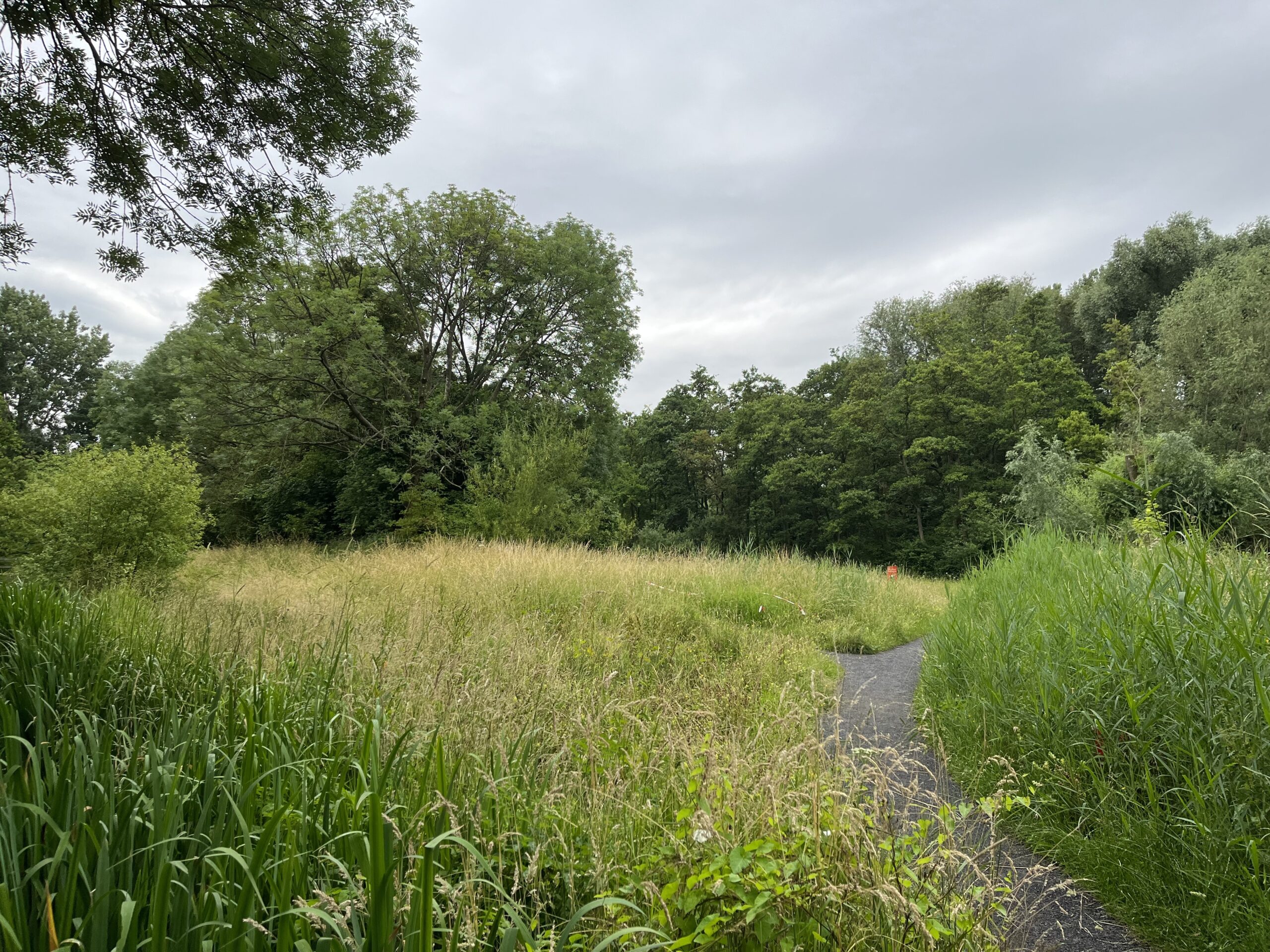 Wandeling door Park Bloeyendael Rijnsweerd Utrecht