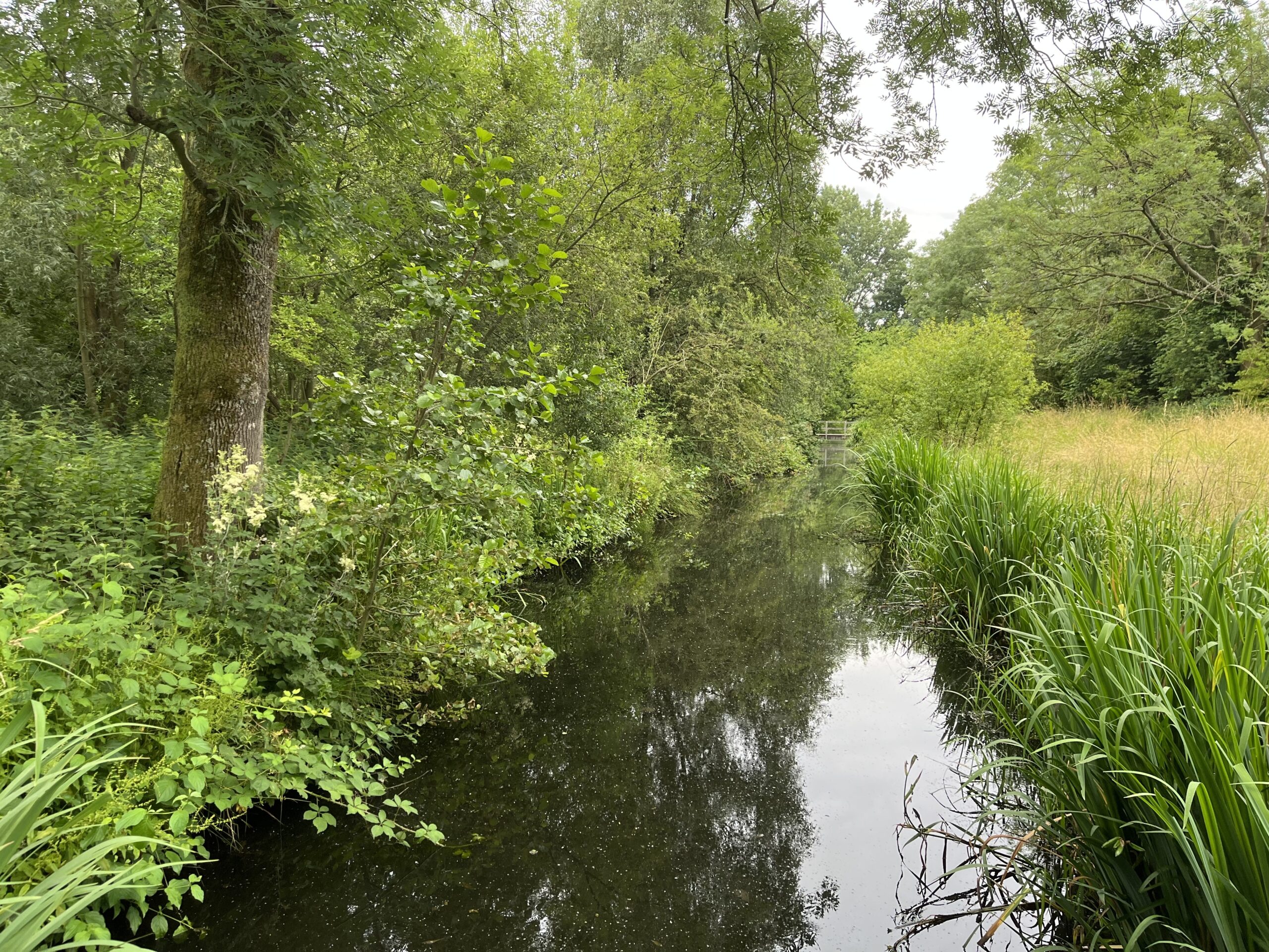 Wandeling door Park Bloeyendael Rijnsweerd Utrecht