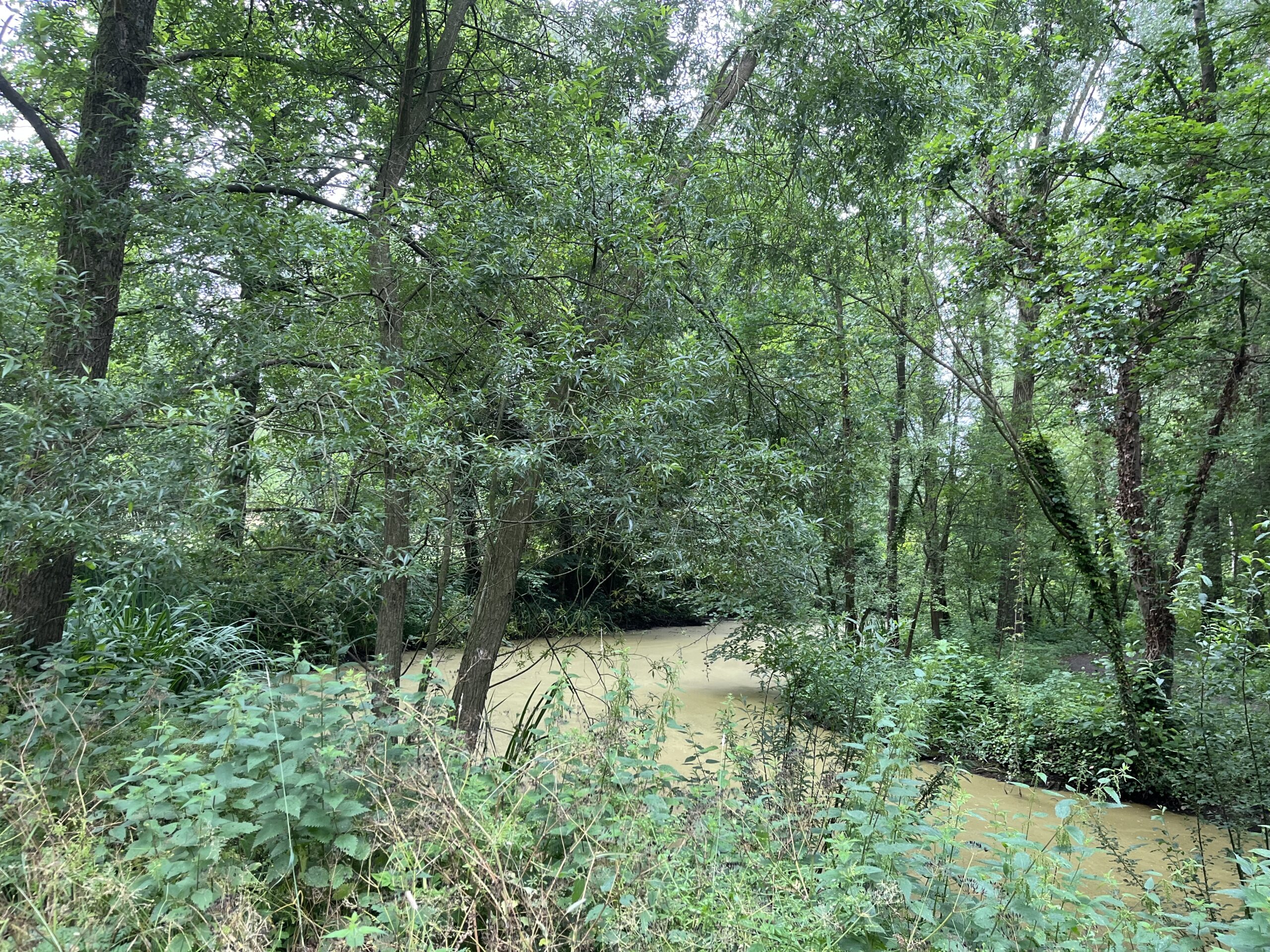 Wandeling door Park Bloeyendael Rijnsweerd Utrecht