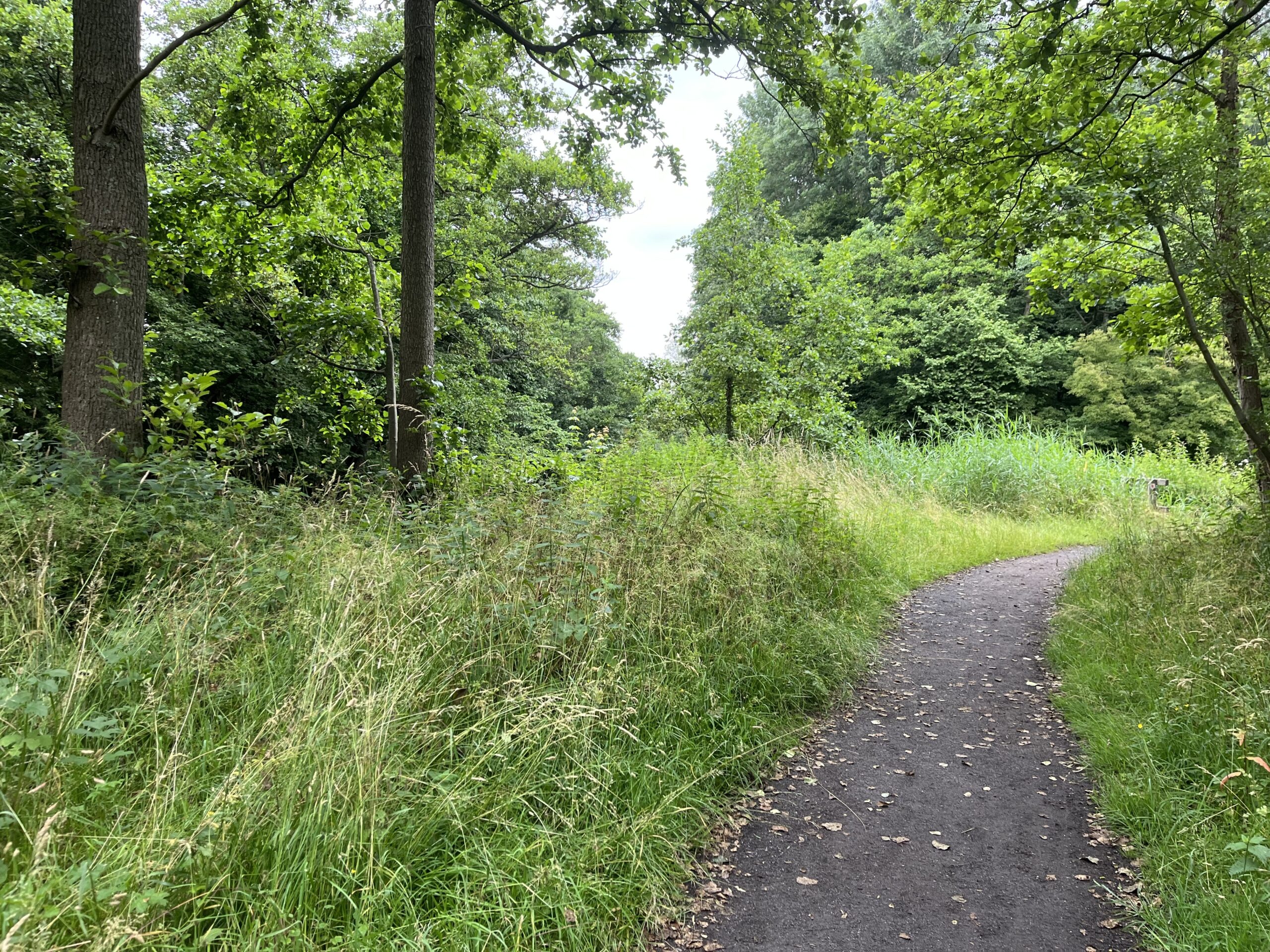 Wandeling door Park Bloeyendael Rijnsweerd Utrecht