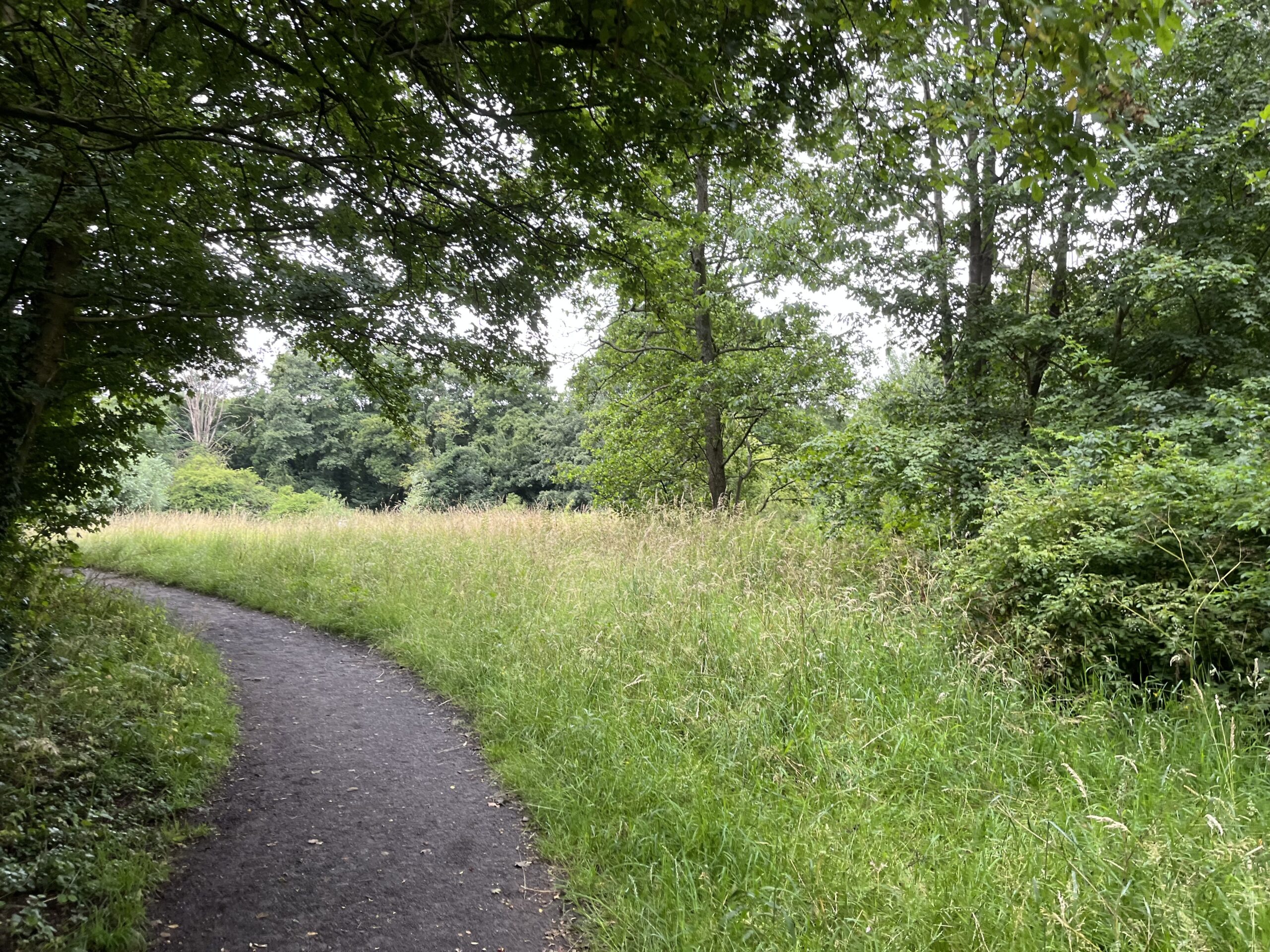 Wandeling door Park Bloeyendael Rijnsweerd Utrecht