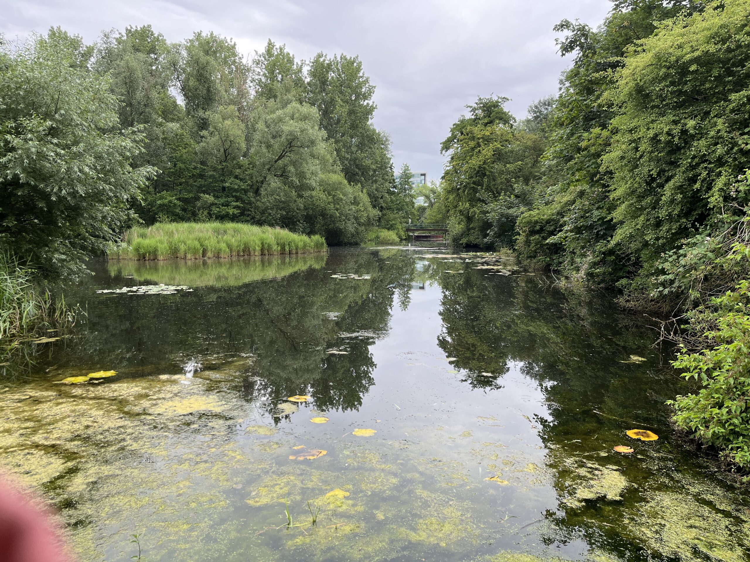 Wandeling door Park Bloeyendael Rijnsweerd Utrecht