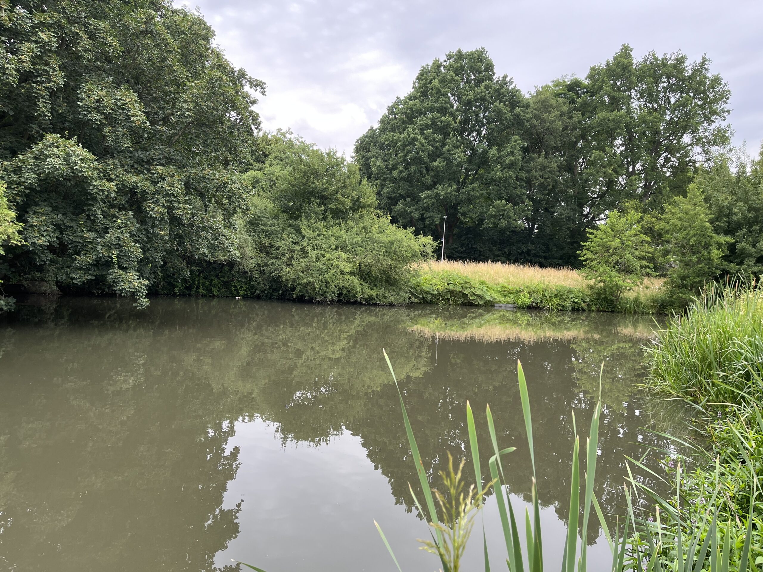 Wandeling door Park Bloeyendael Rijnsweerd Utrecht