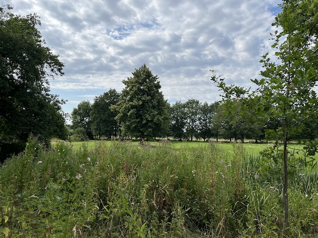 Overnachten op Kasteel Sterkenburg