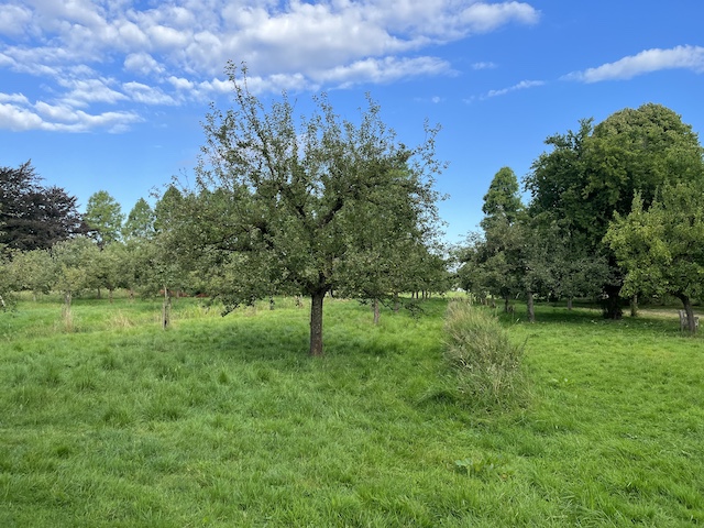 Overnachten op Kasteel Sterkenburg