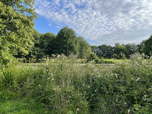 Overnachten op Kasteel Sterkenburg