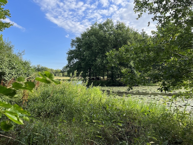 Overnachten op Kasteel Sterkenburg